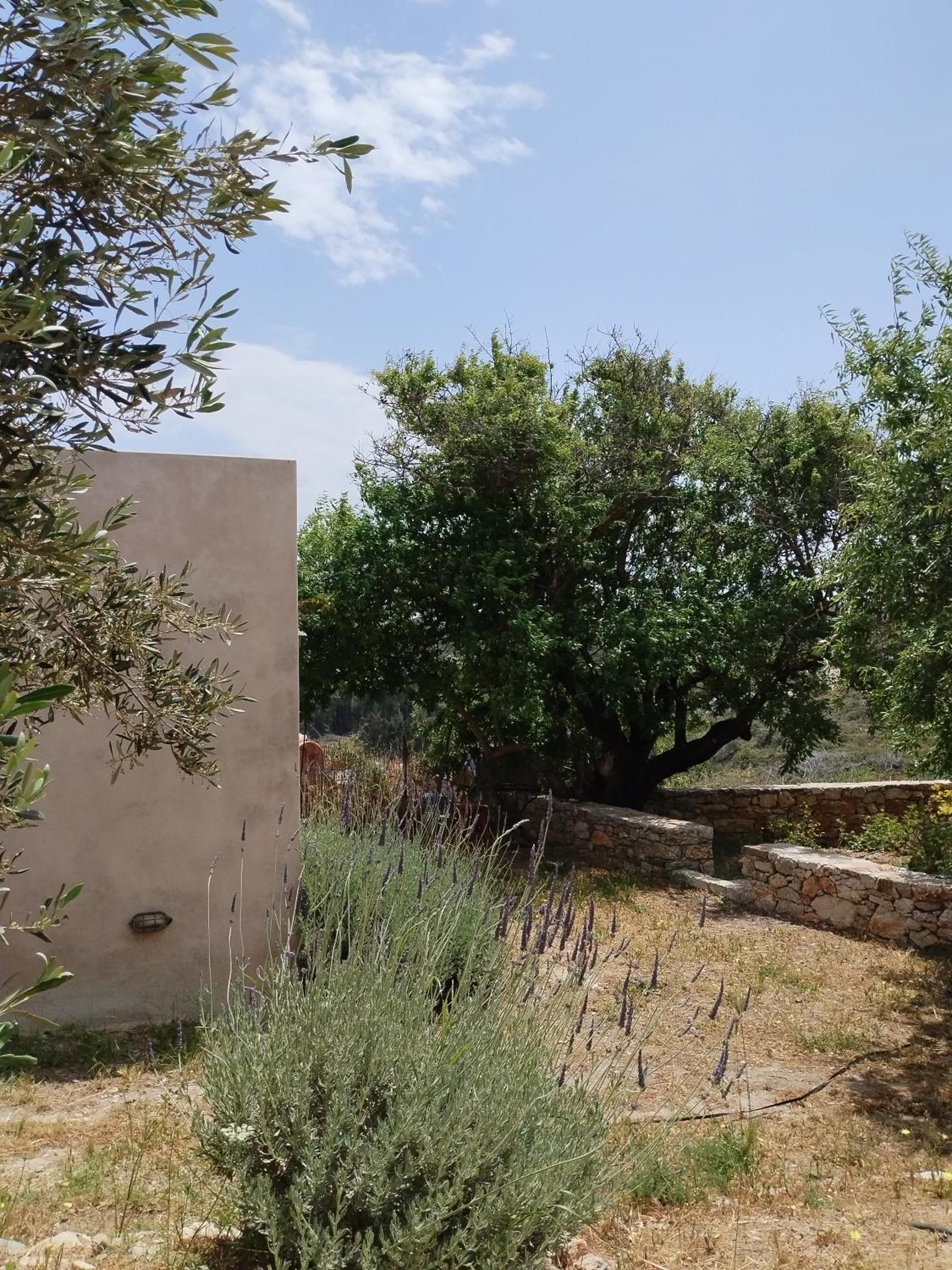 Oxalis Villas