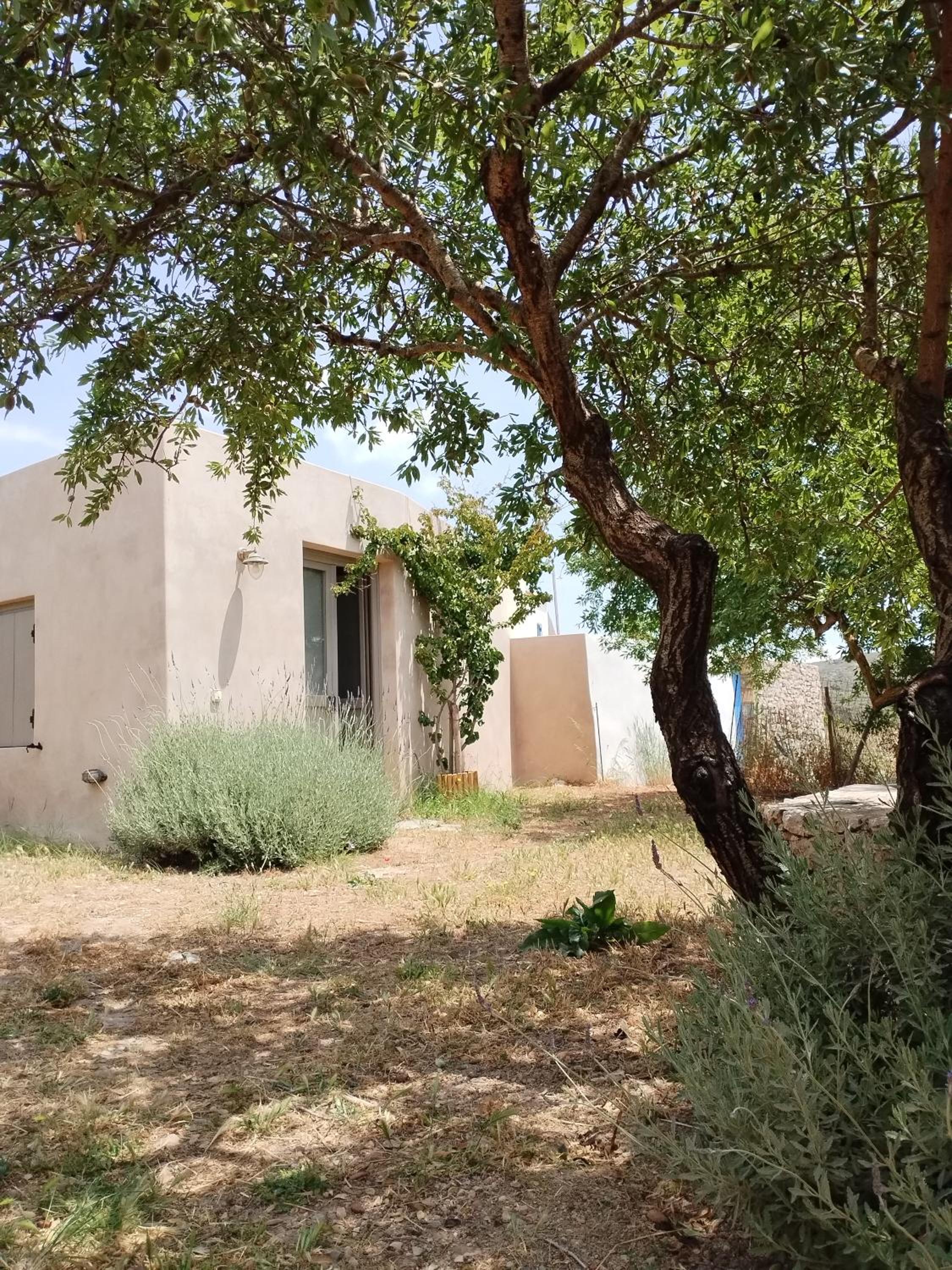 Oxalis Villas
