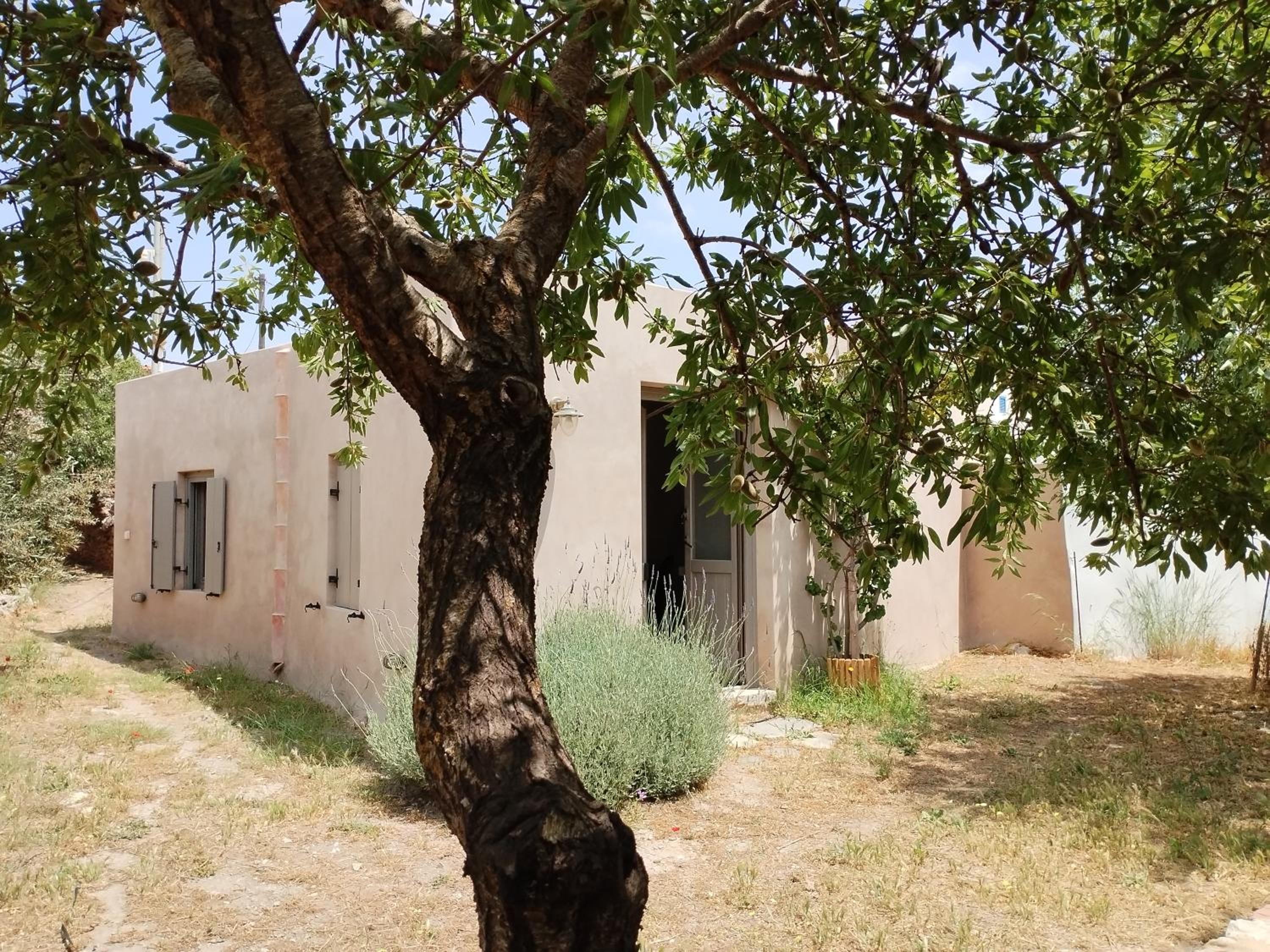 Oxalis Villas
