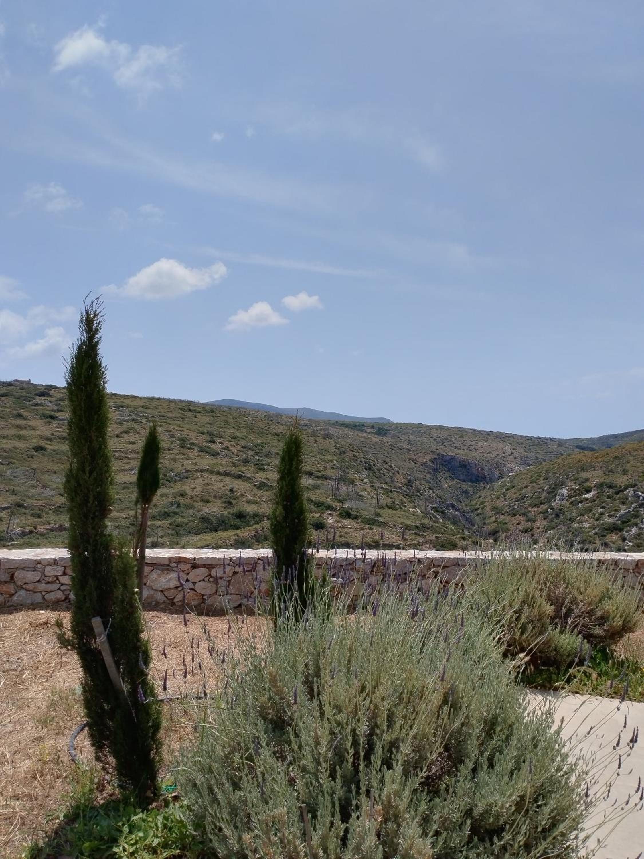 Oxalis Villas