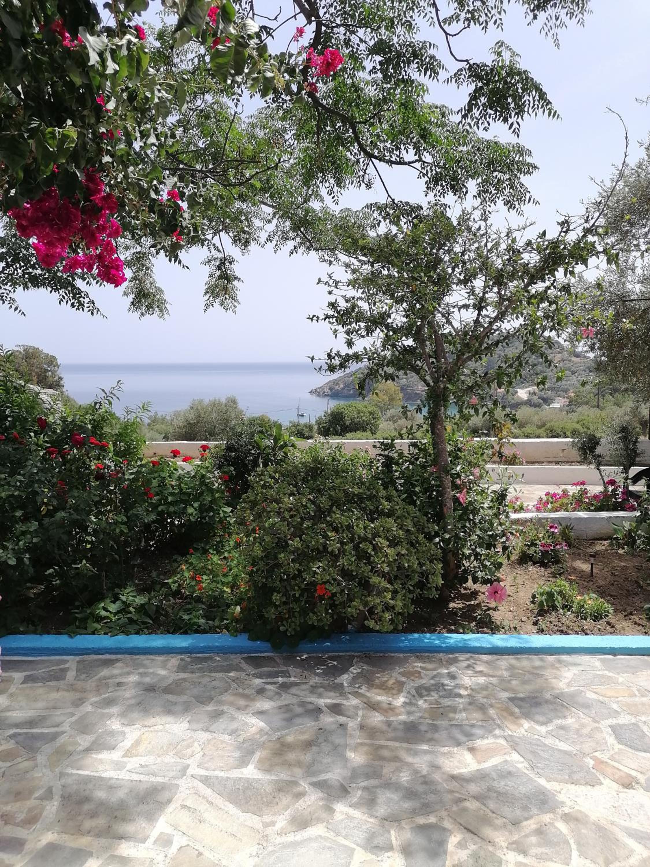 Studios Ioanna Limnionas Samos