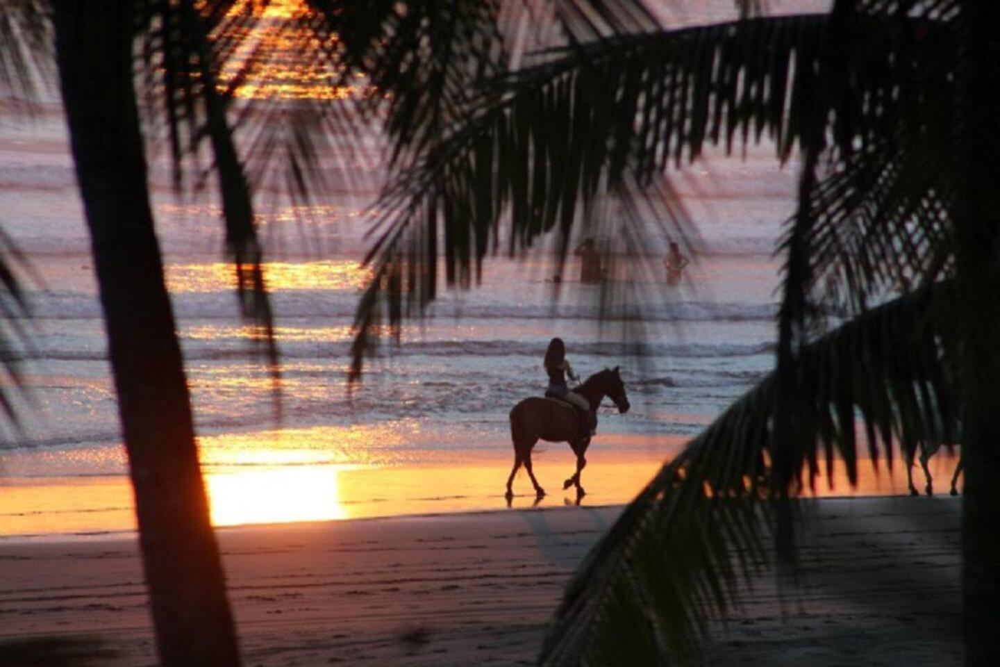 Villa Paraiso by Vacation Pura Vida