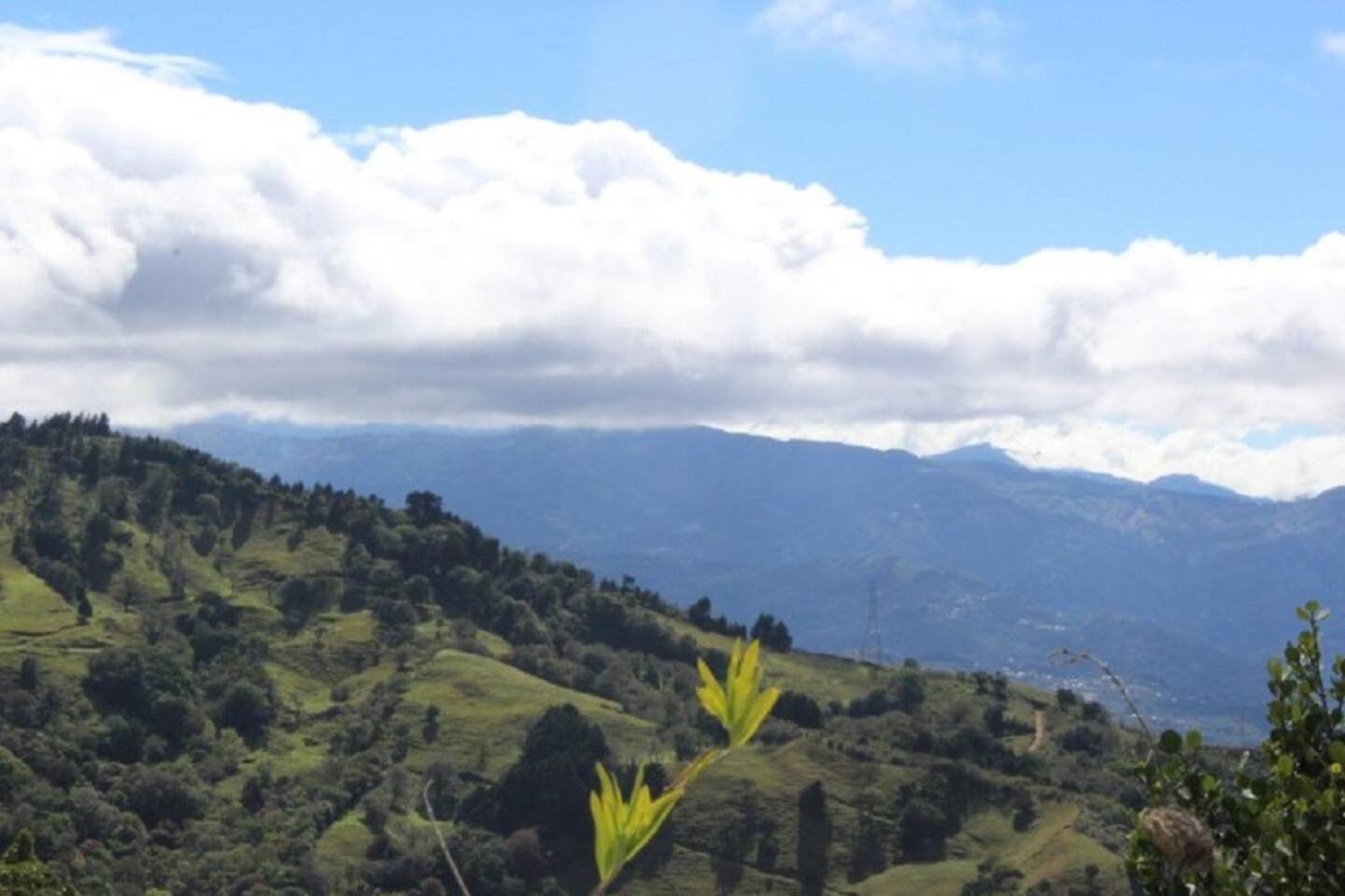 Villa Tranquilidad by Vacation Pura Vida