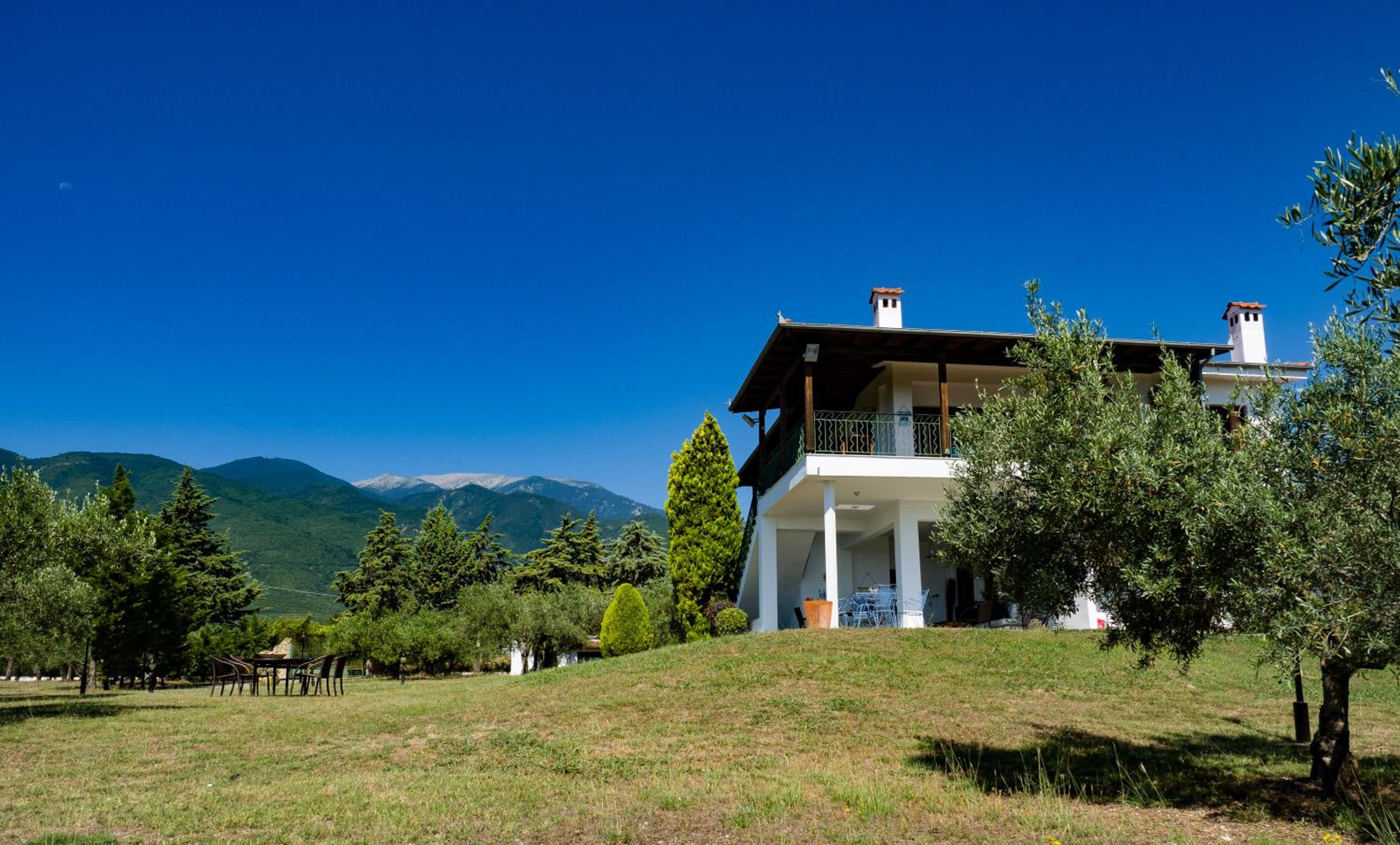 ZeusPlace Olympus Olive Country House 2