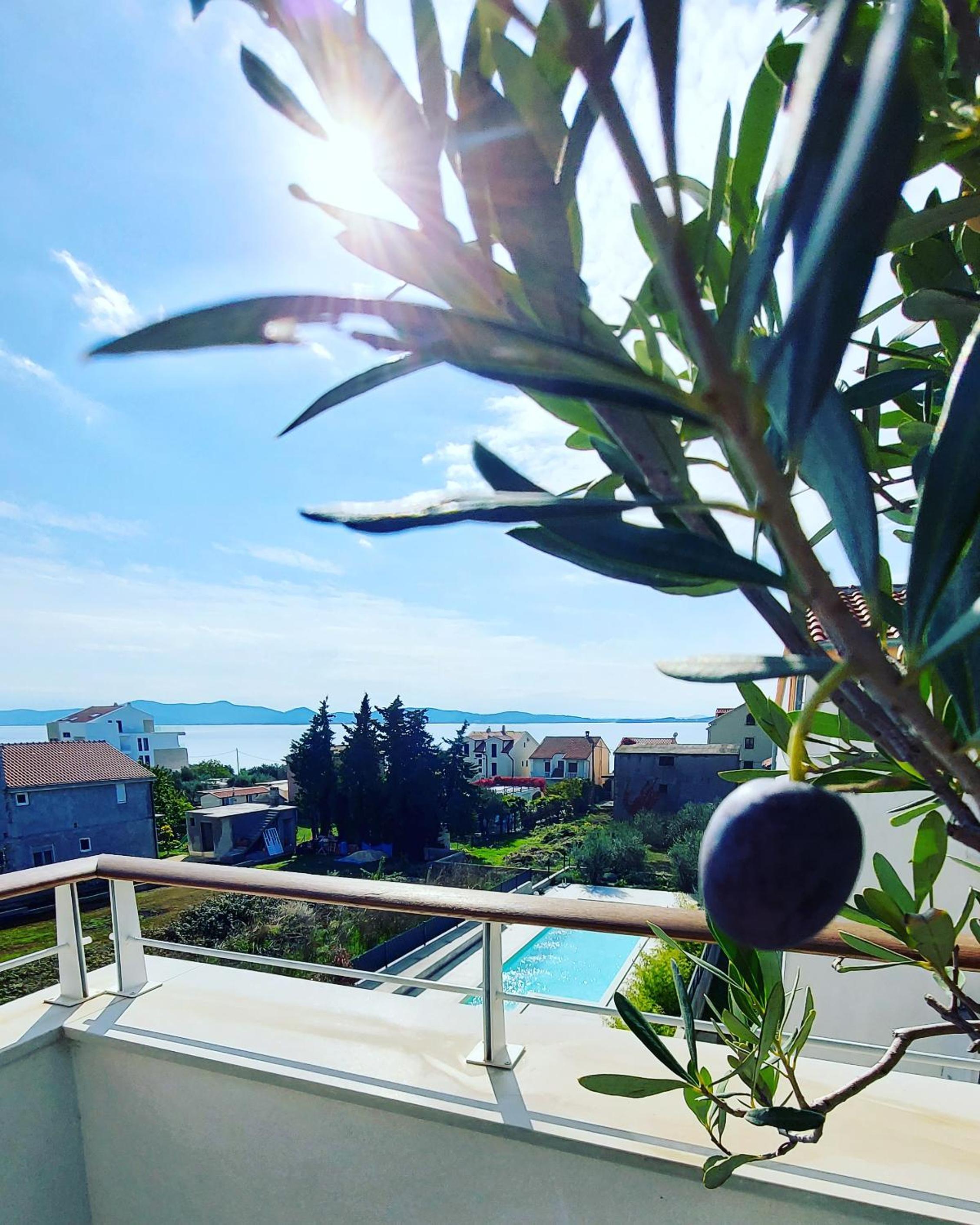 O'live Residence - Elegant Designer Apartments near Zadar view 5