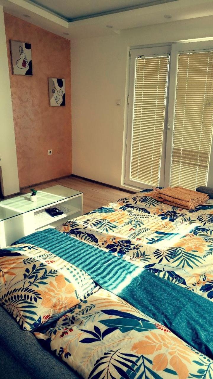 Studio Apartman Ban