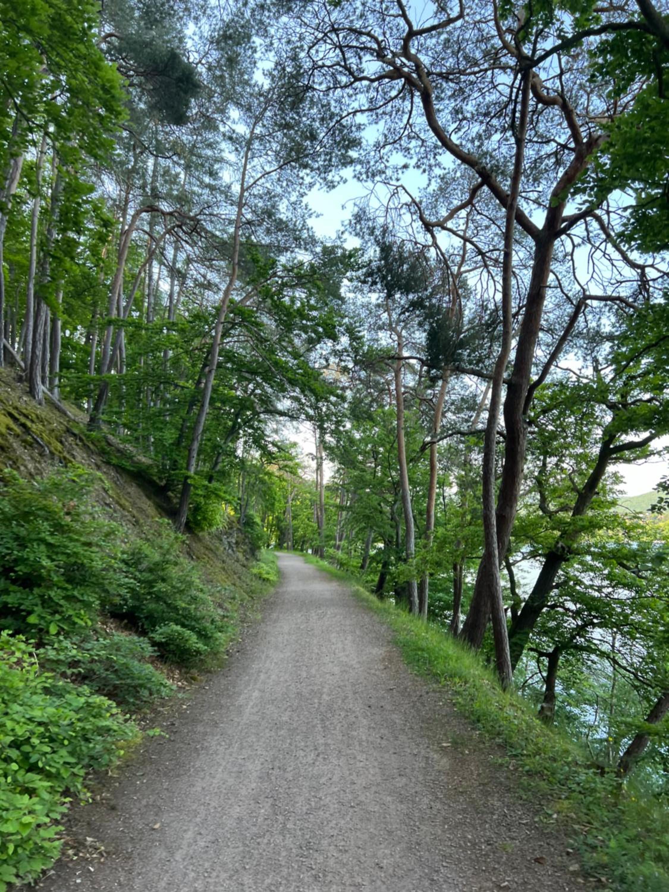 Bergschlösschen Edersee