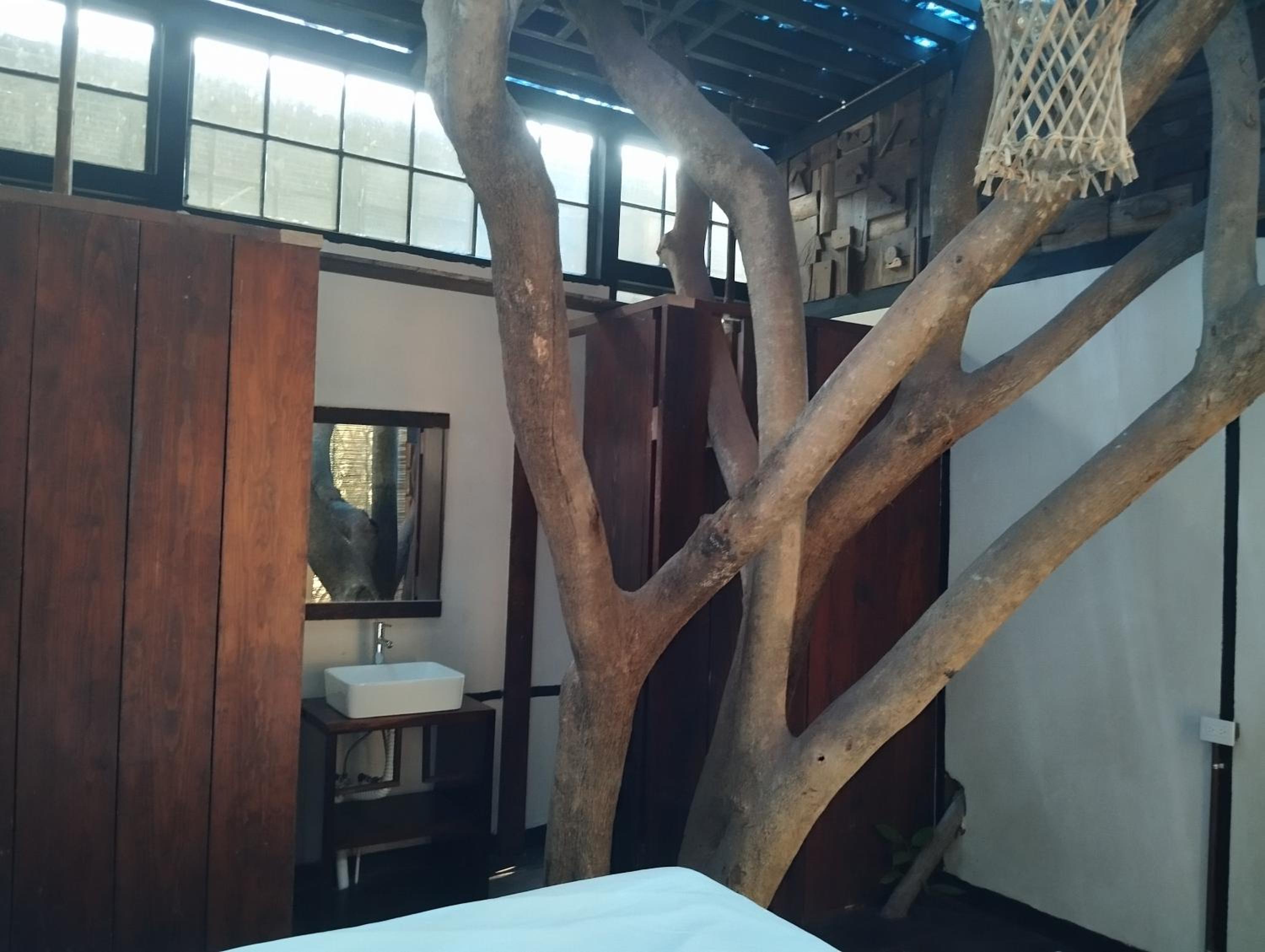hotel free style tulum