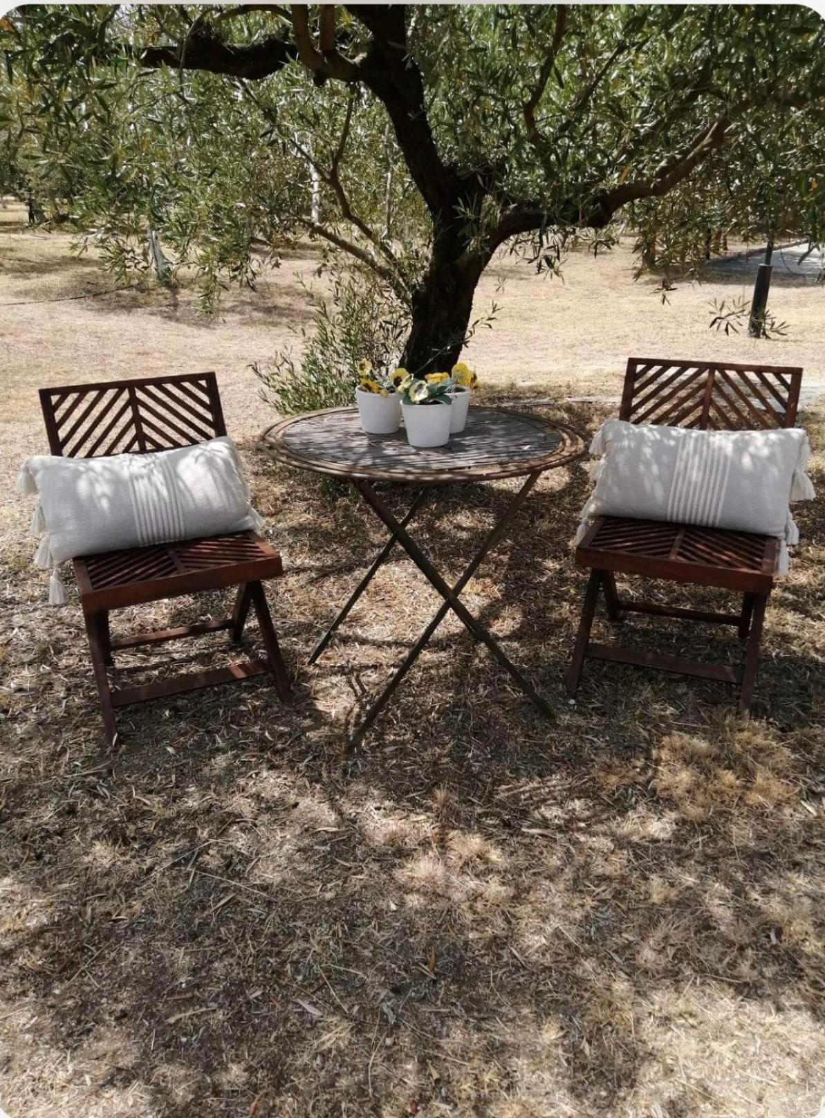 ZeusPlace Olympus Olive Country House 2
