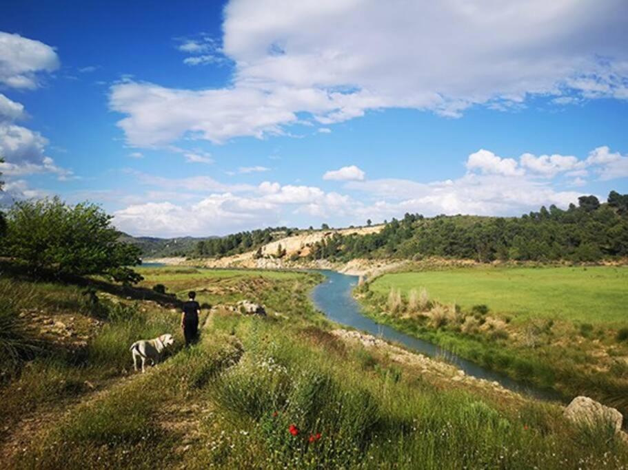Casa rural Quintina, relax en la Sierra del Segura view 4
