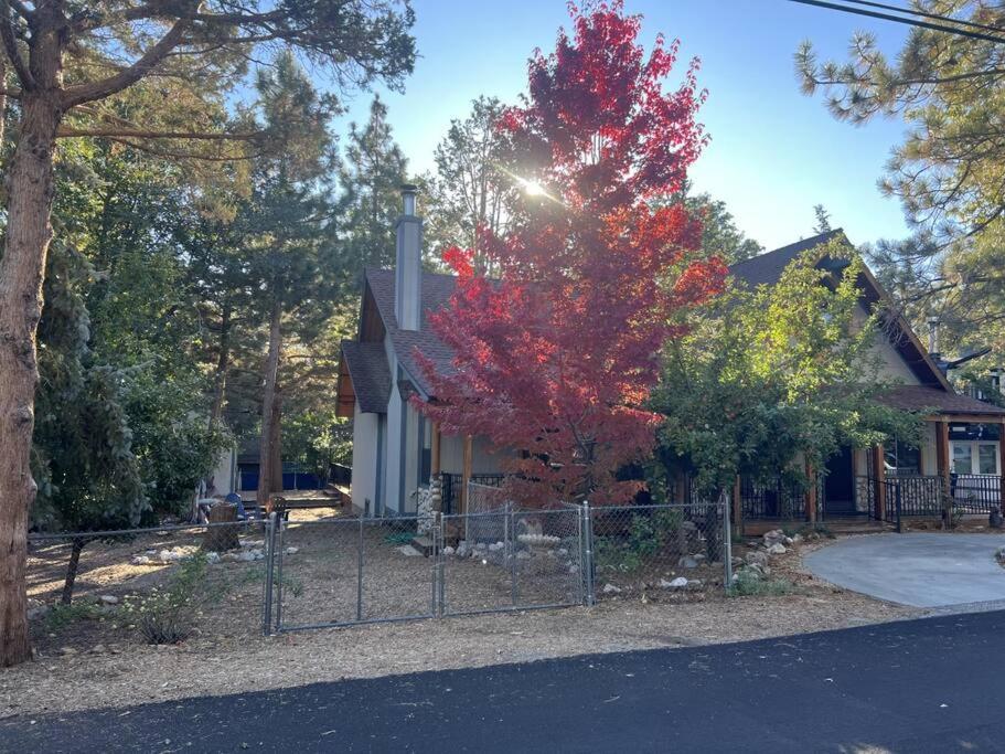 Pendleton Pines