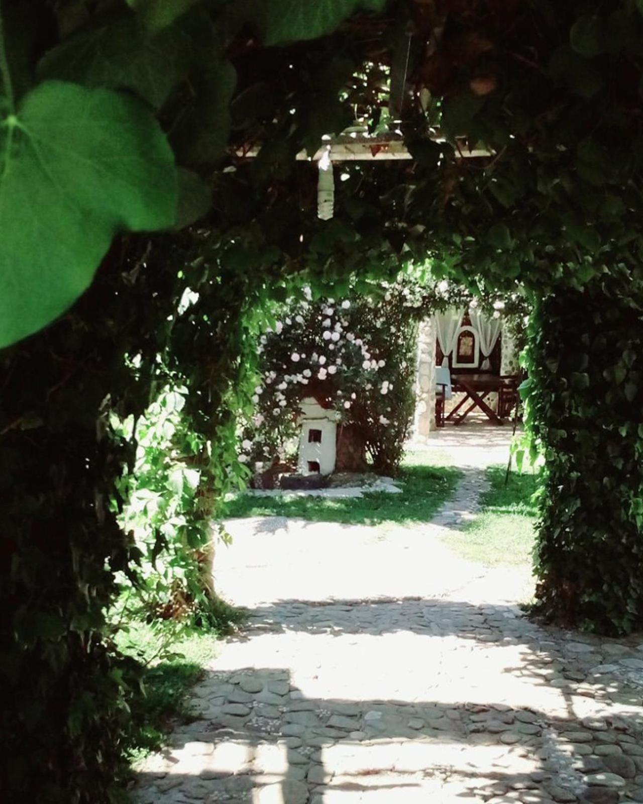 Photo 14