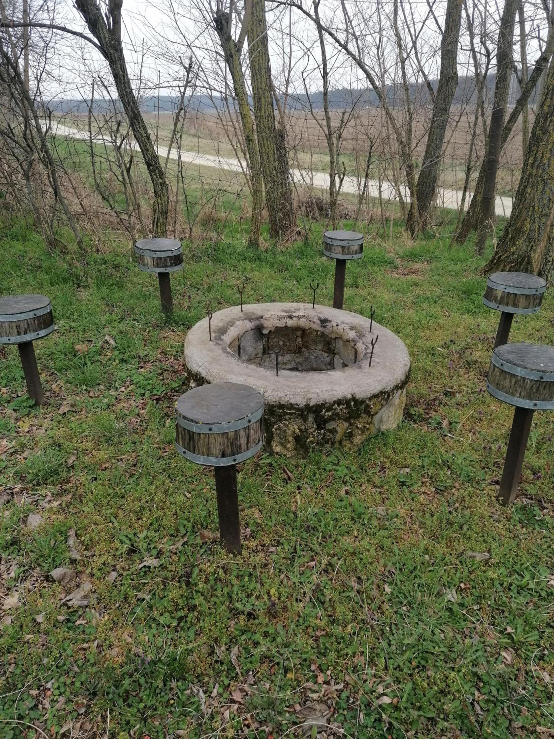 Photo 21