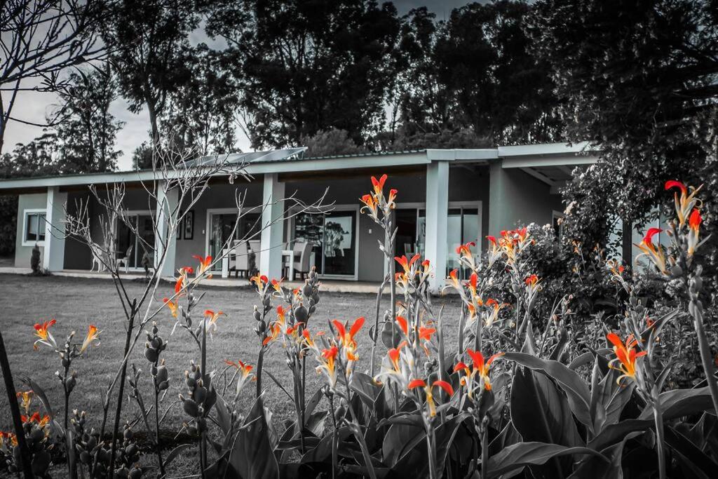 Midlands EcoLodge