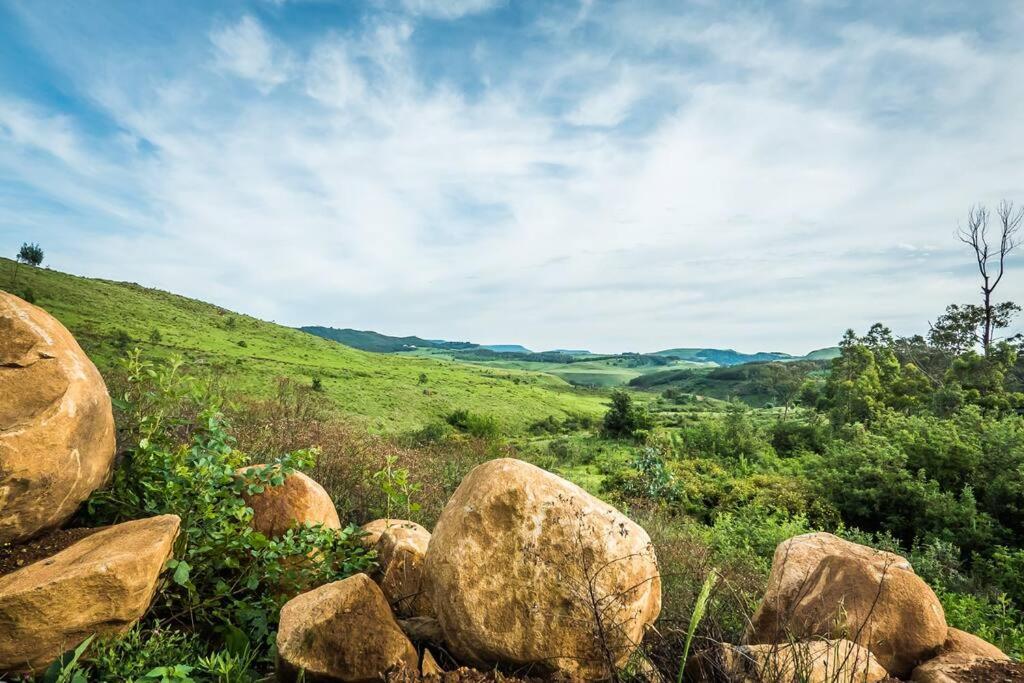 Midlands EcoLodge