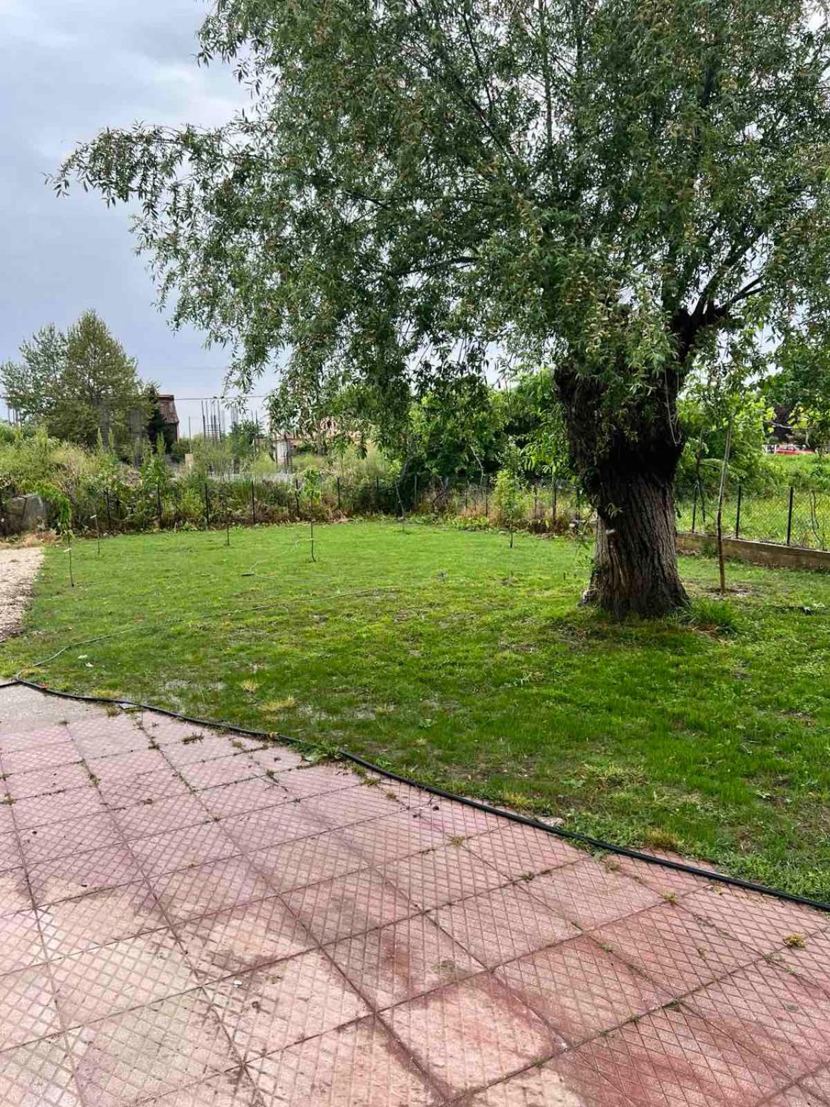 Sofia village