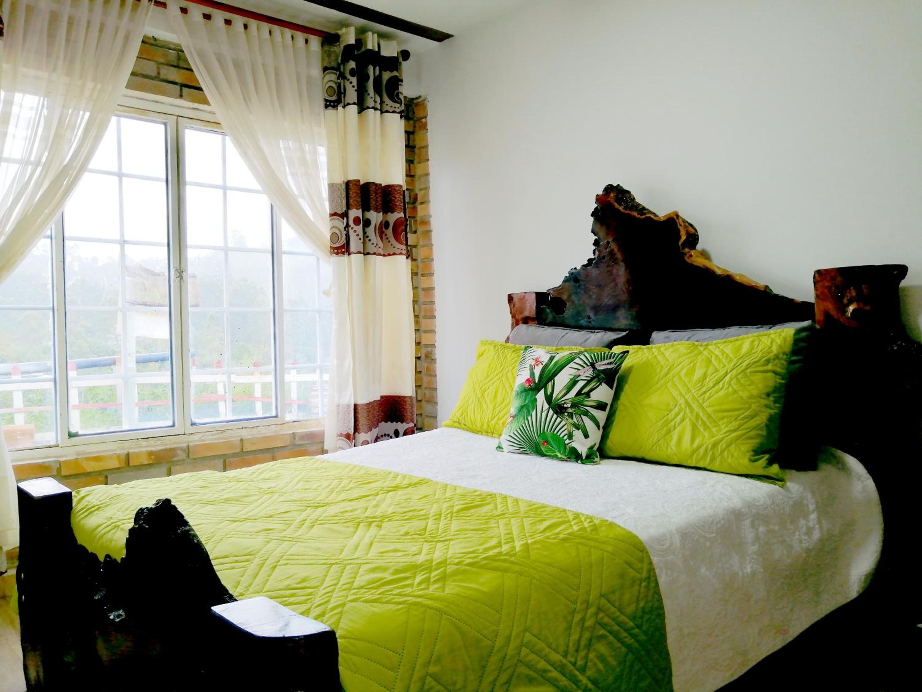 Anturio suite 1