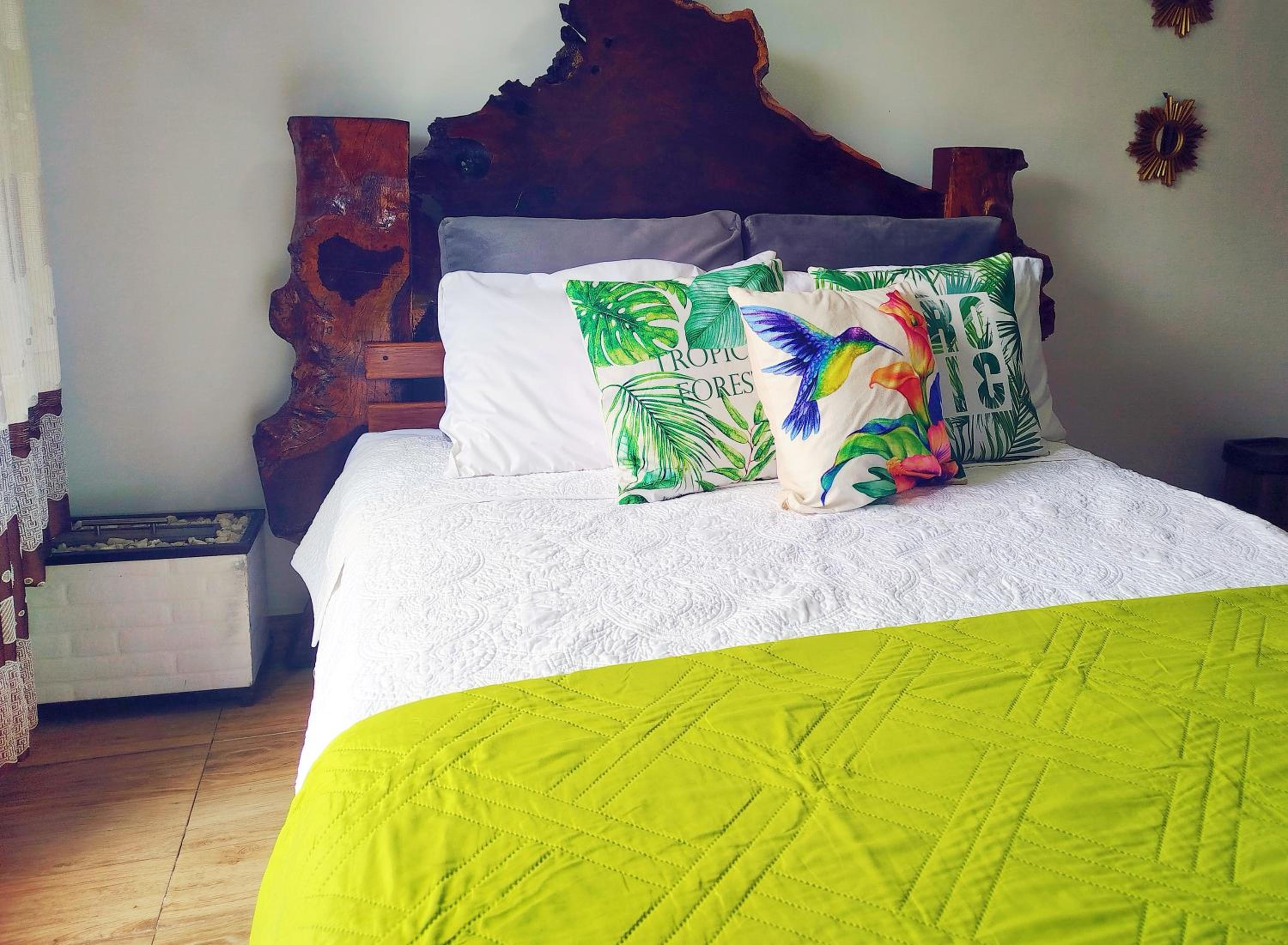 Anturio suite 1