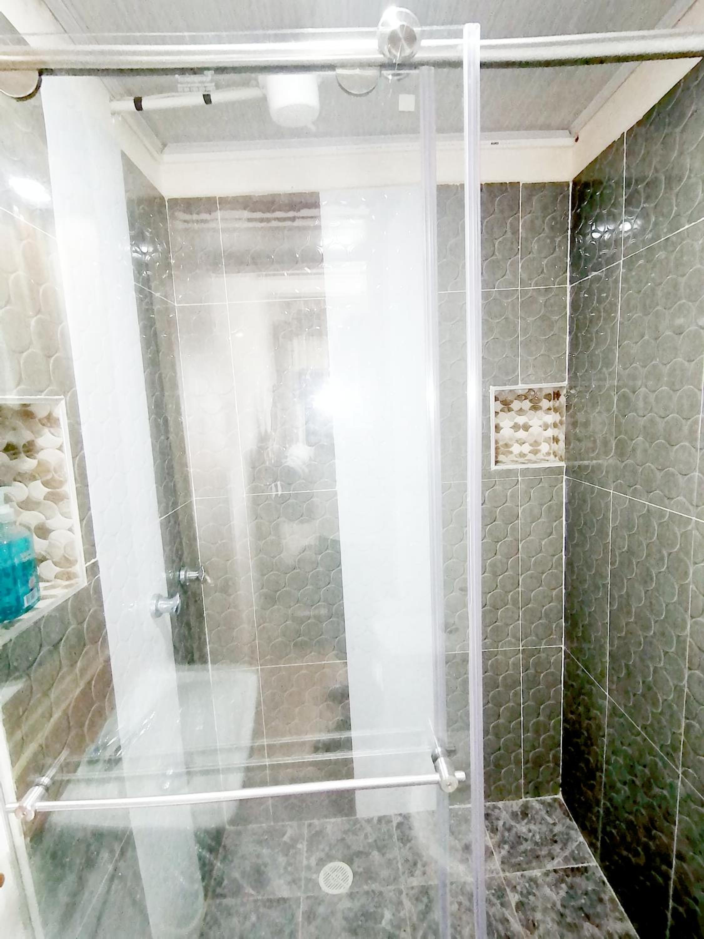 Anturio suite 1