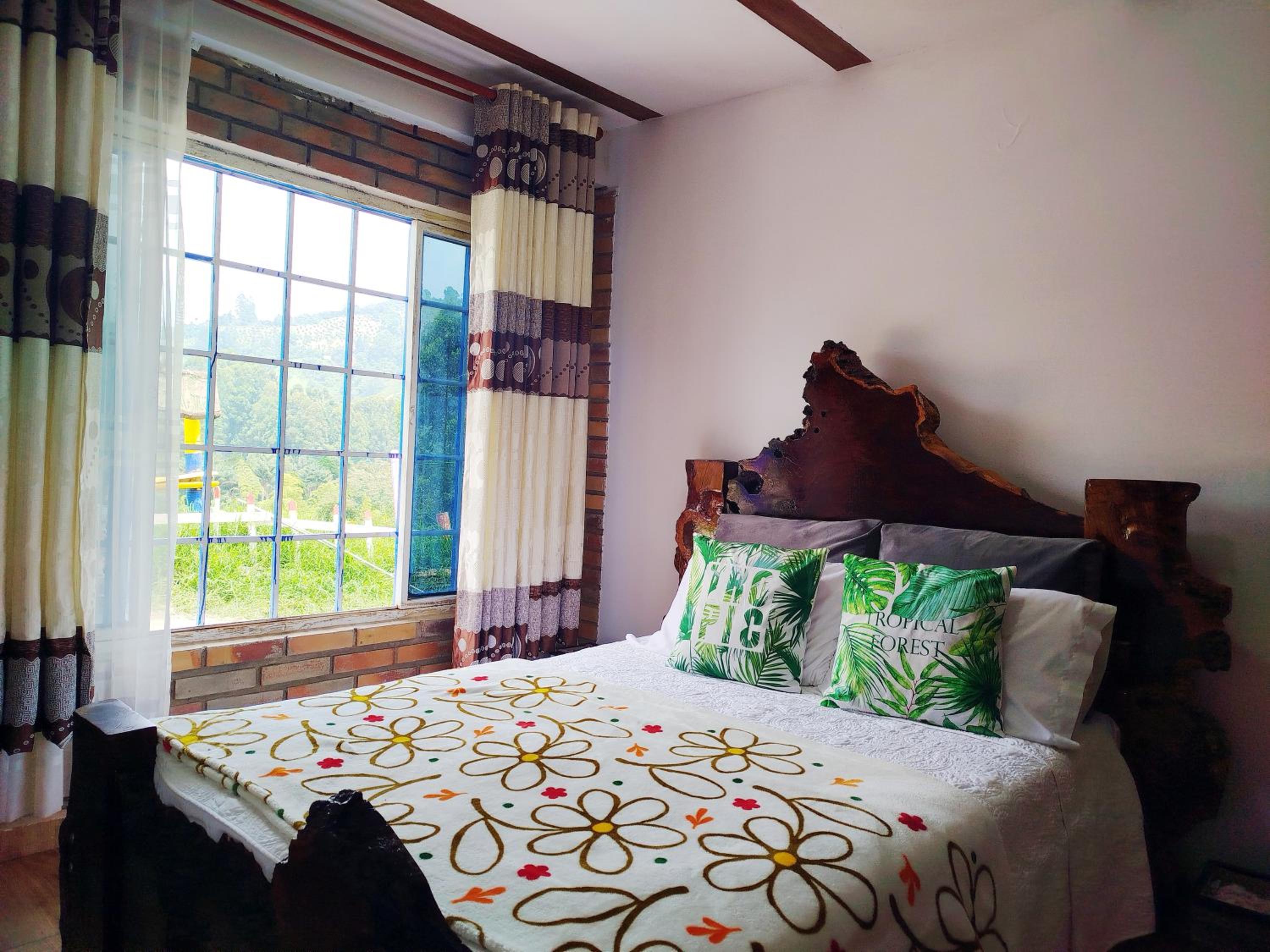 Anturio suite 1
