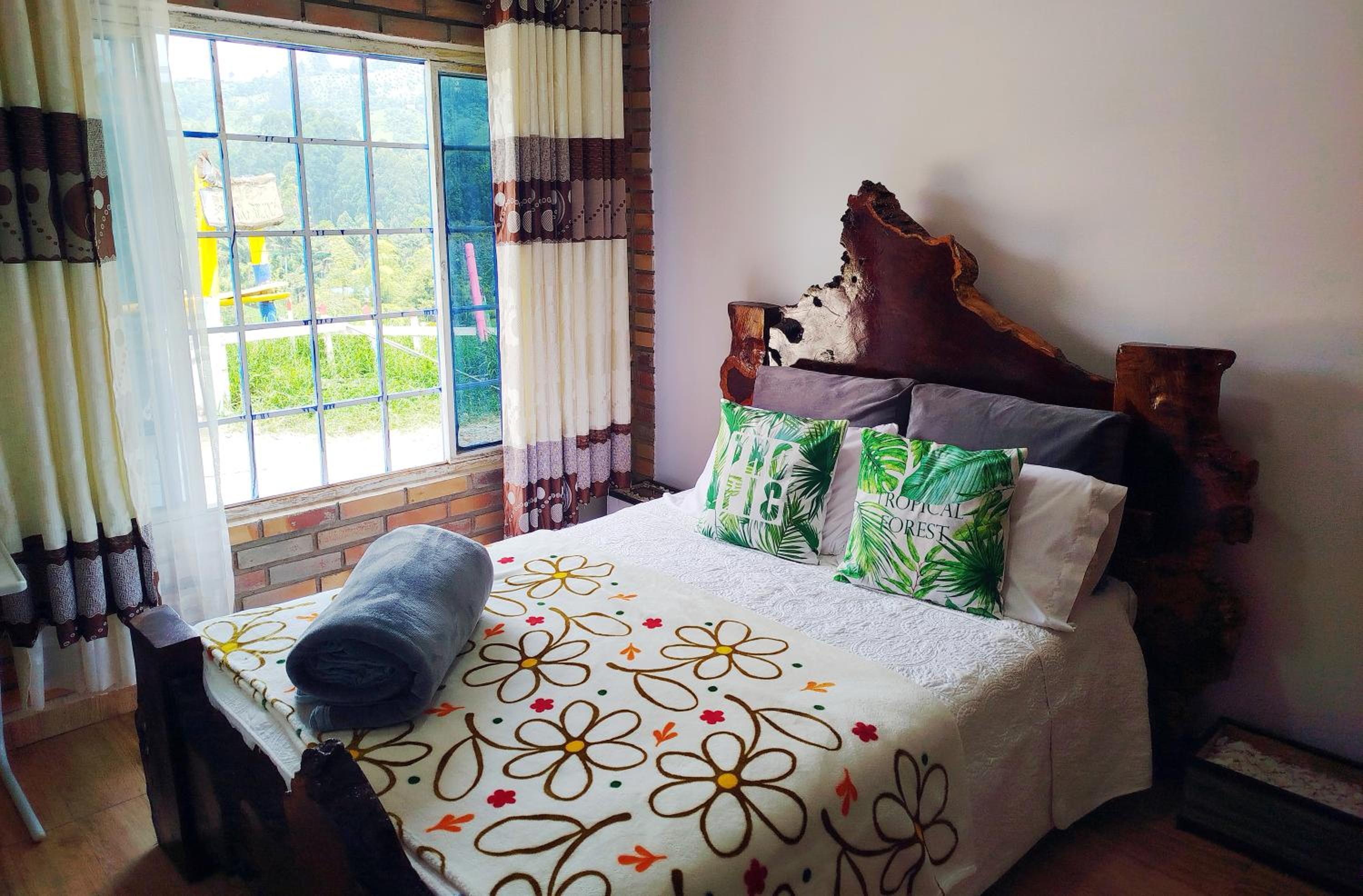 Anturio suite 1