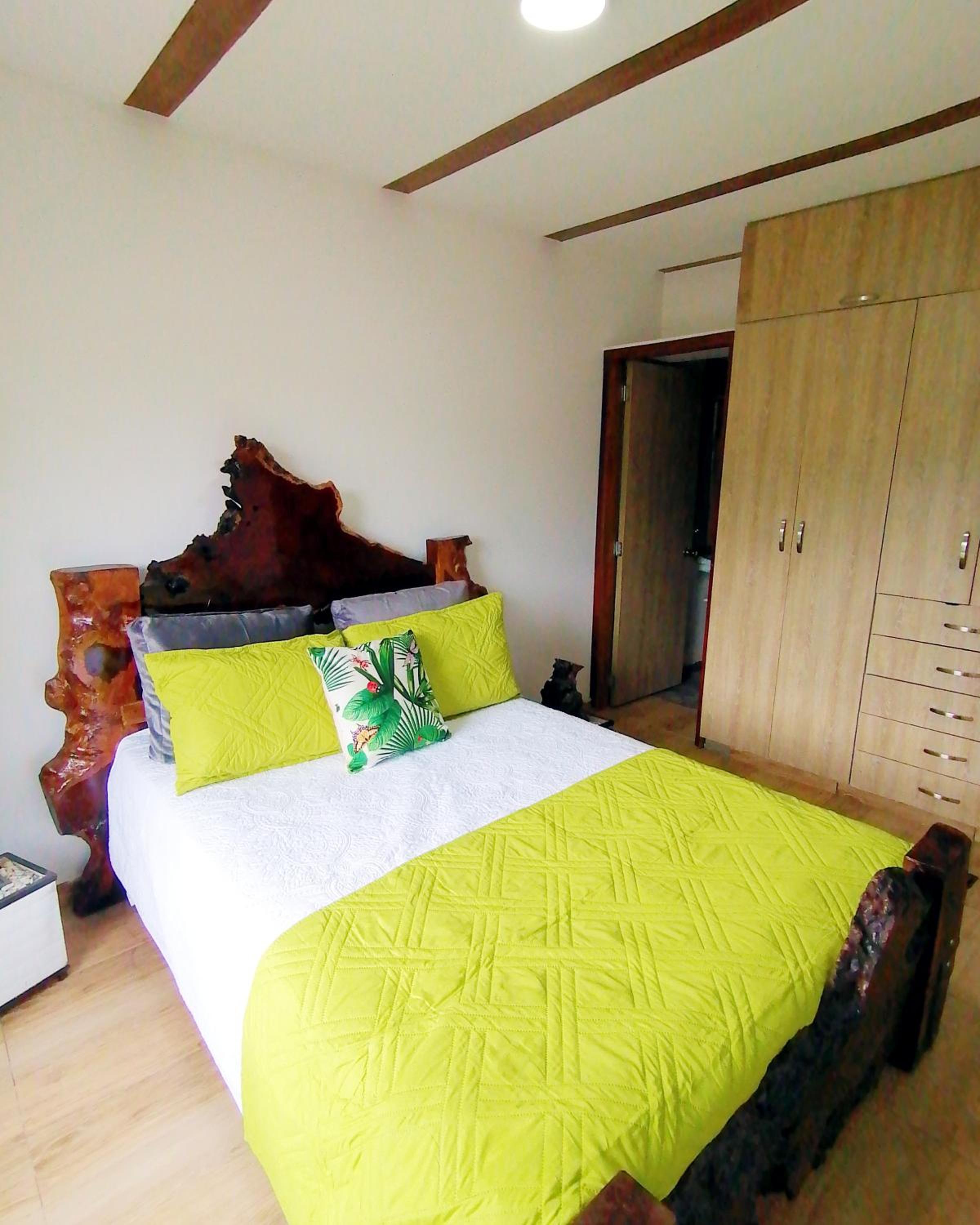 Anturio suite 1