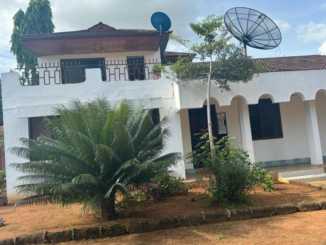 Lyuba homestay