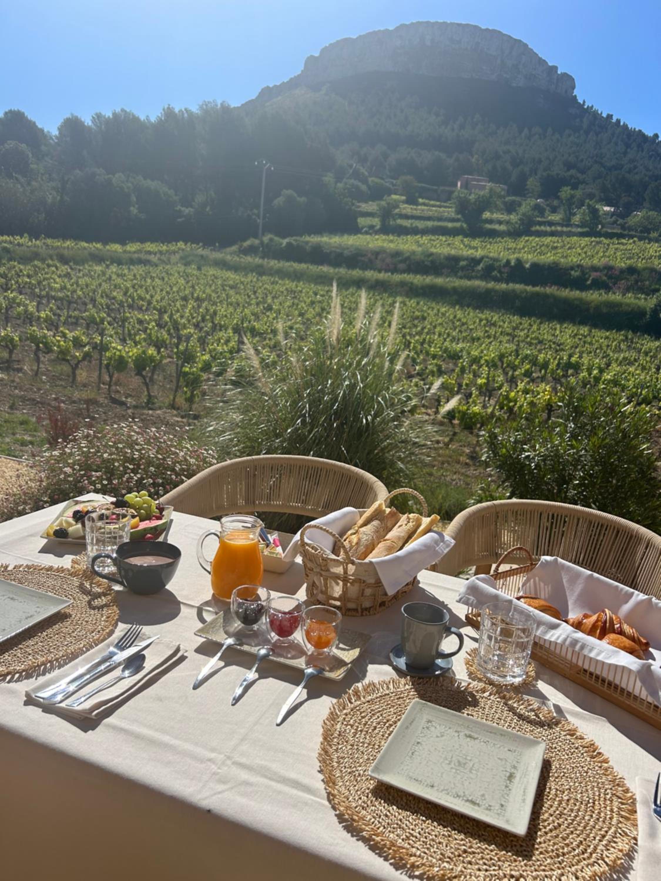 Côté vignes cassis, photo 49