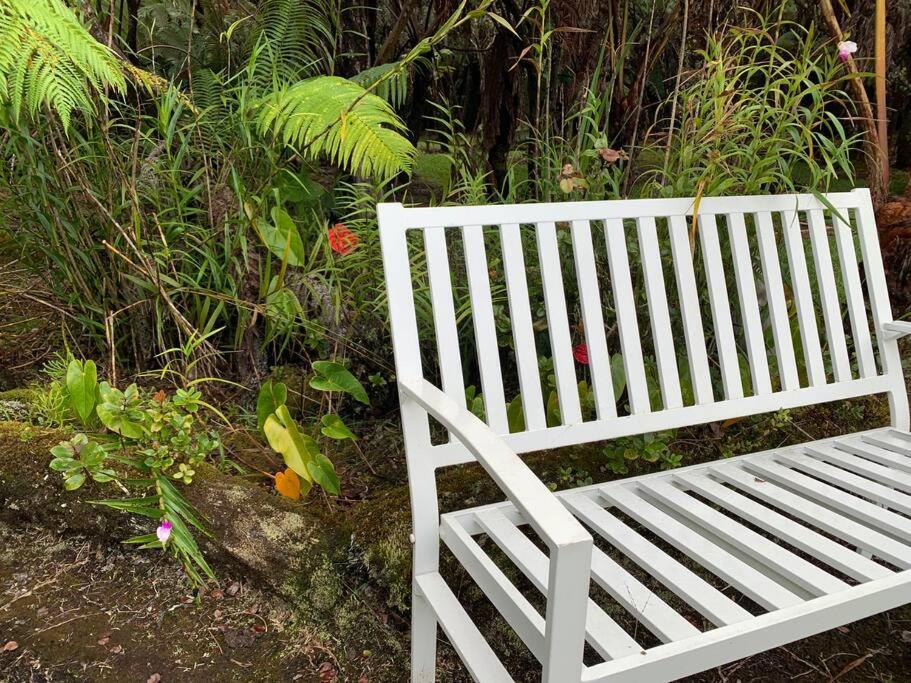 Hau'oli Place Tiki Cottage in Volcano view 2
