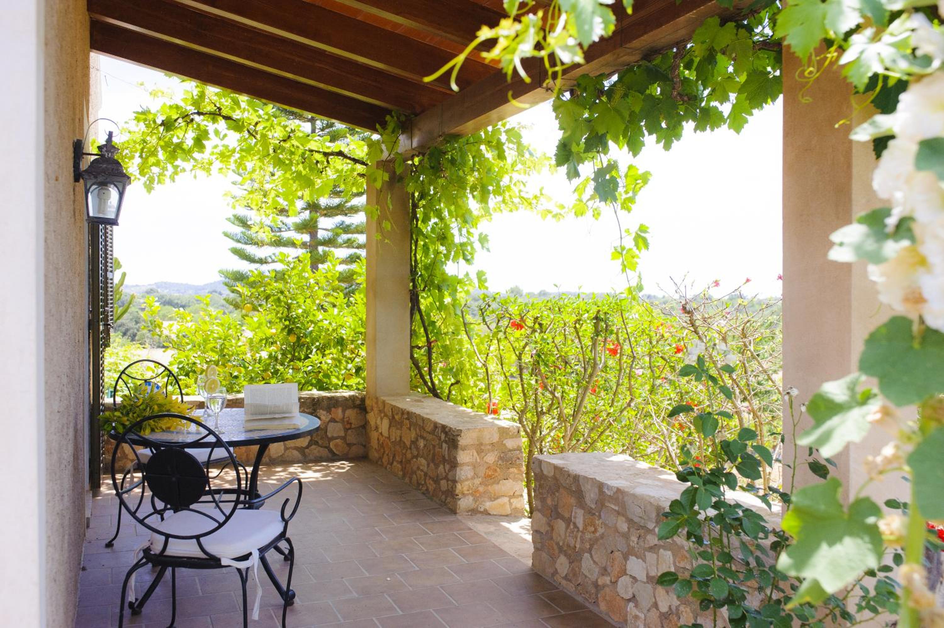 Finca Miquel Tomas view 3