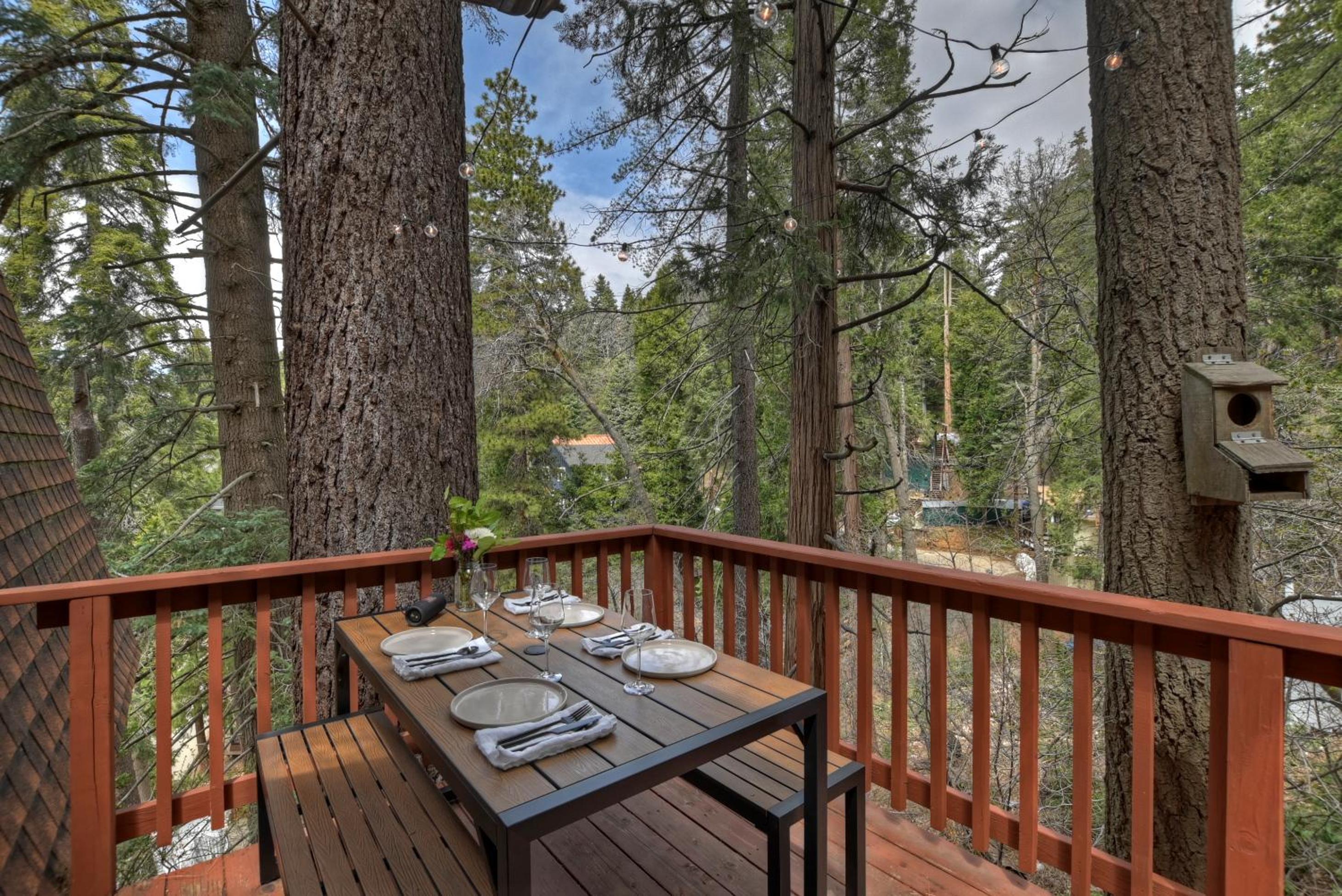 Pet & Kid Friendly Cozy Cabin, BBQ, Firepit, Outdoor Dining, Forest Views view 5