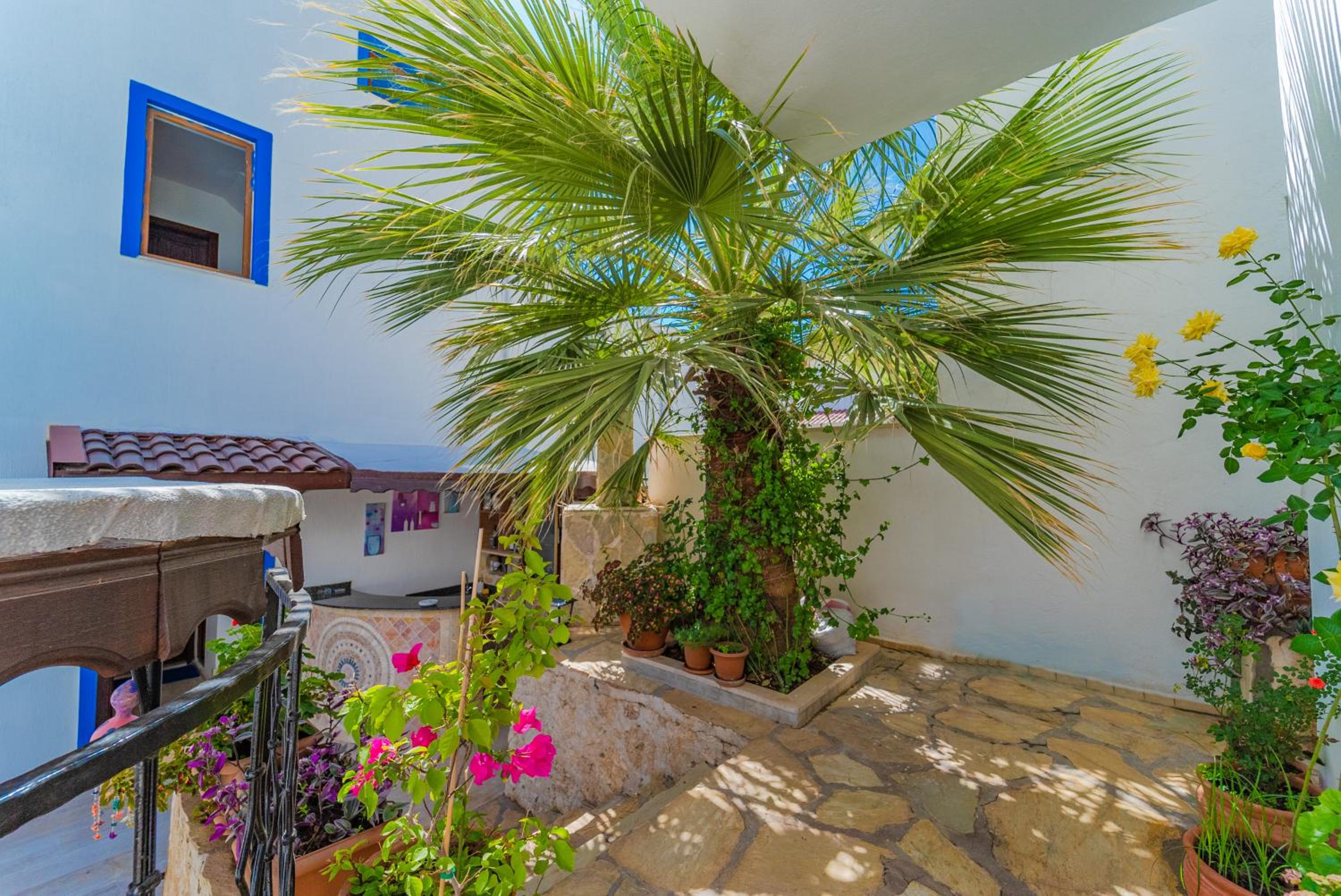 Pazar Apartments