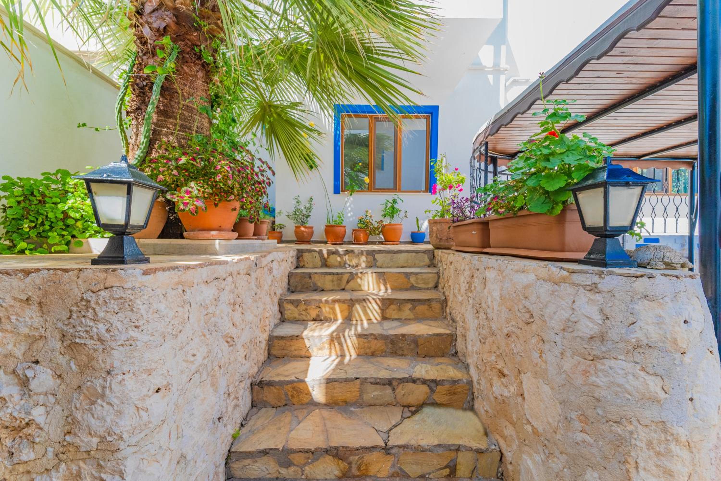 Pazar Apartments