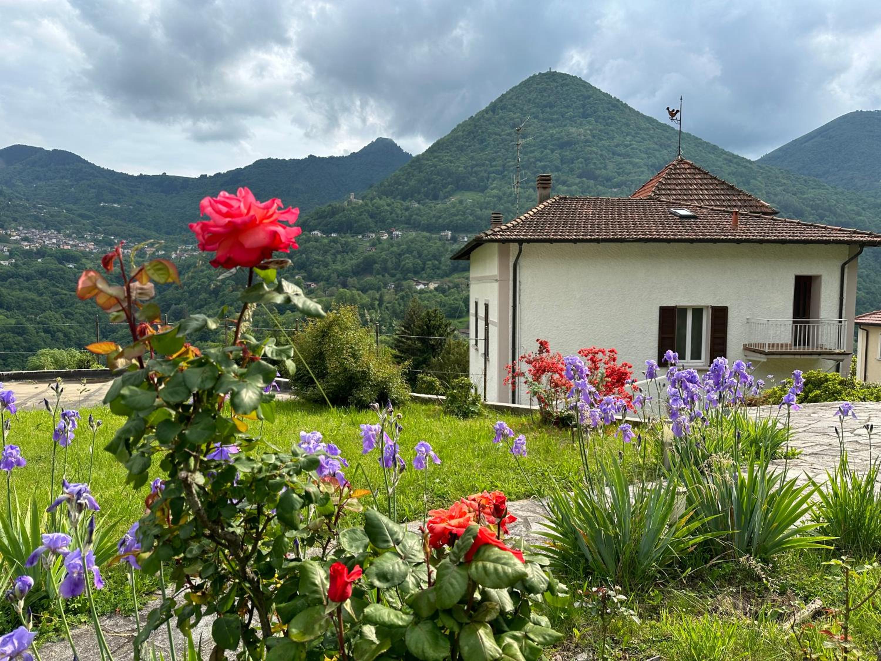 Villa Oleandra with Garden&Swimming pool view 3