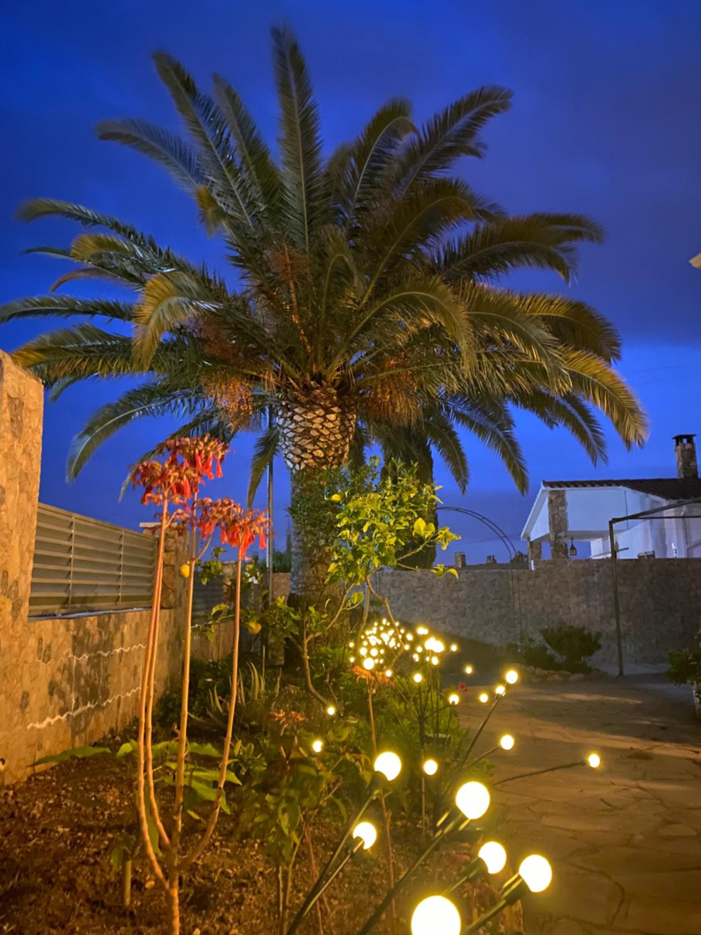 Villa Fleuret
