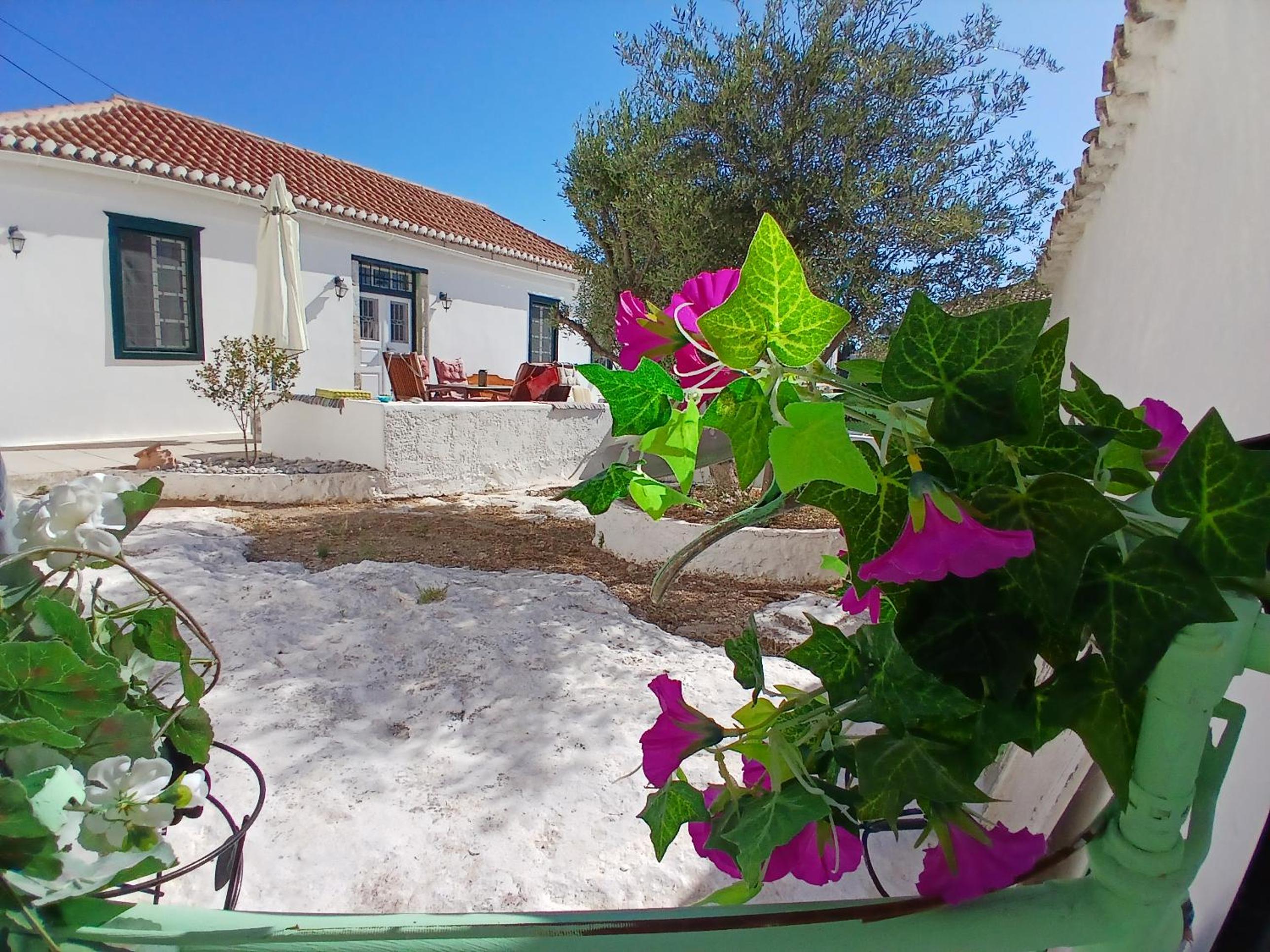 Zazani traditional house