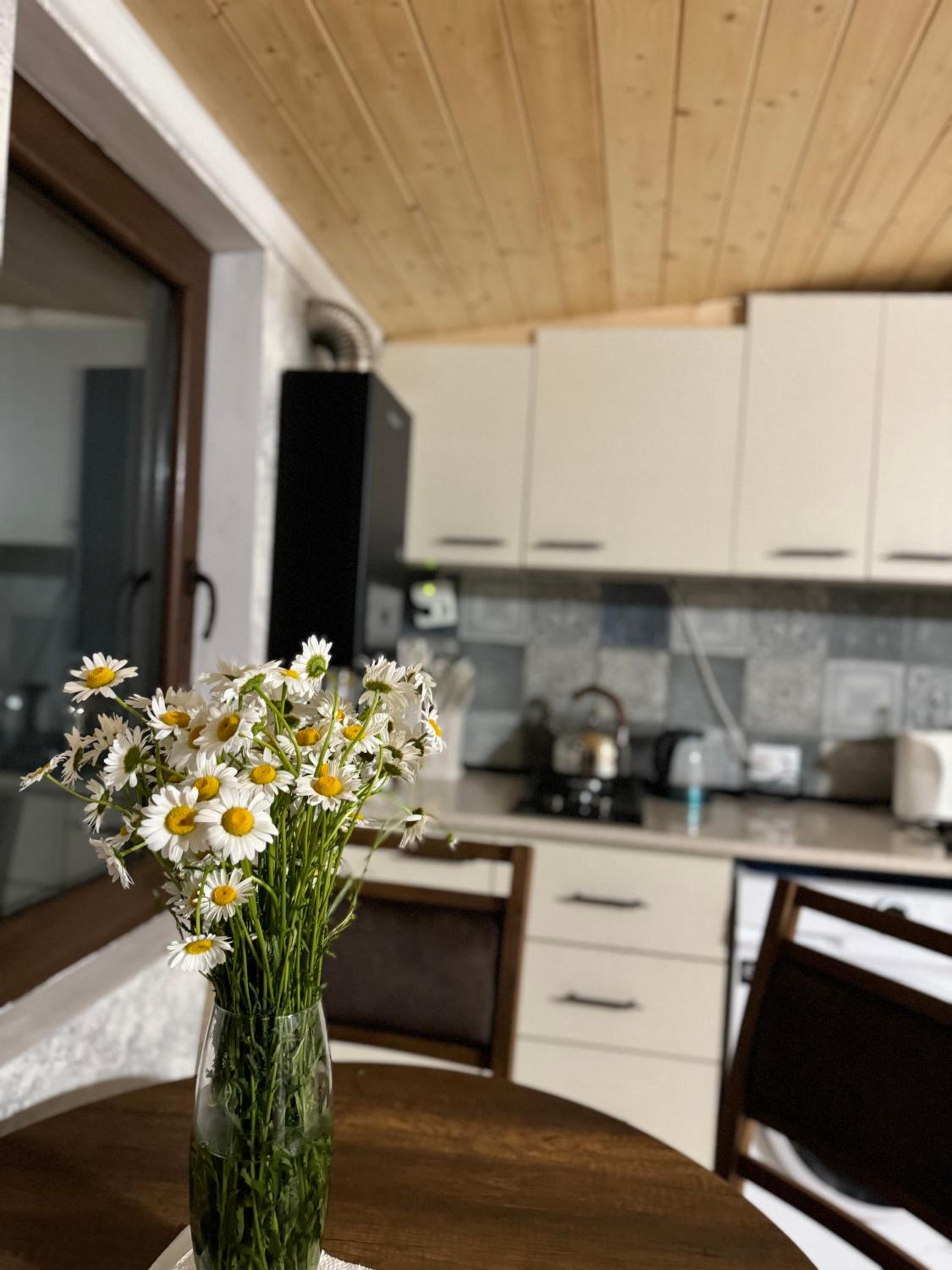 Tbilisi Travel Nest view 5