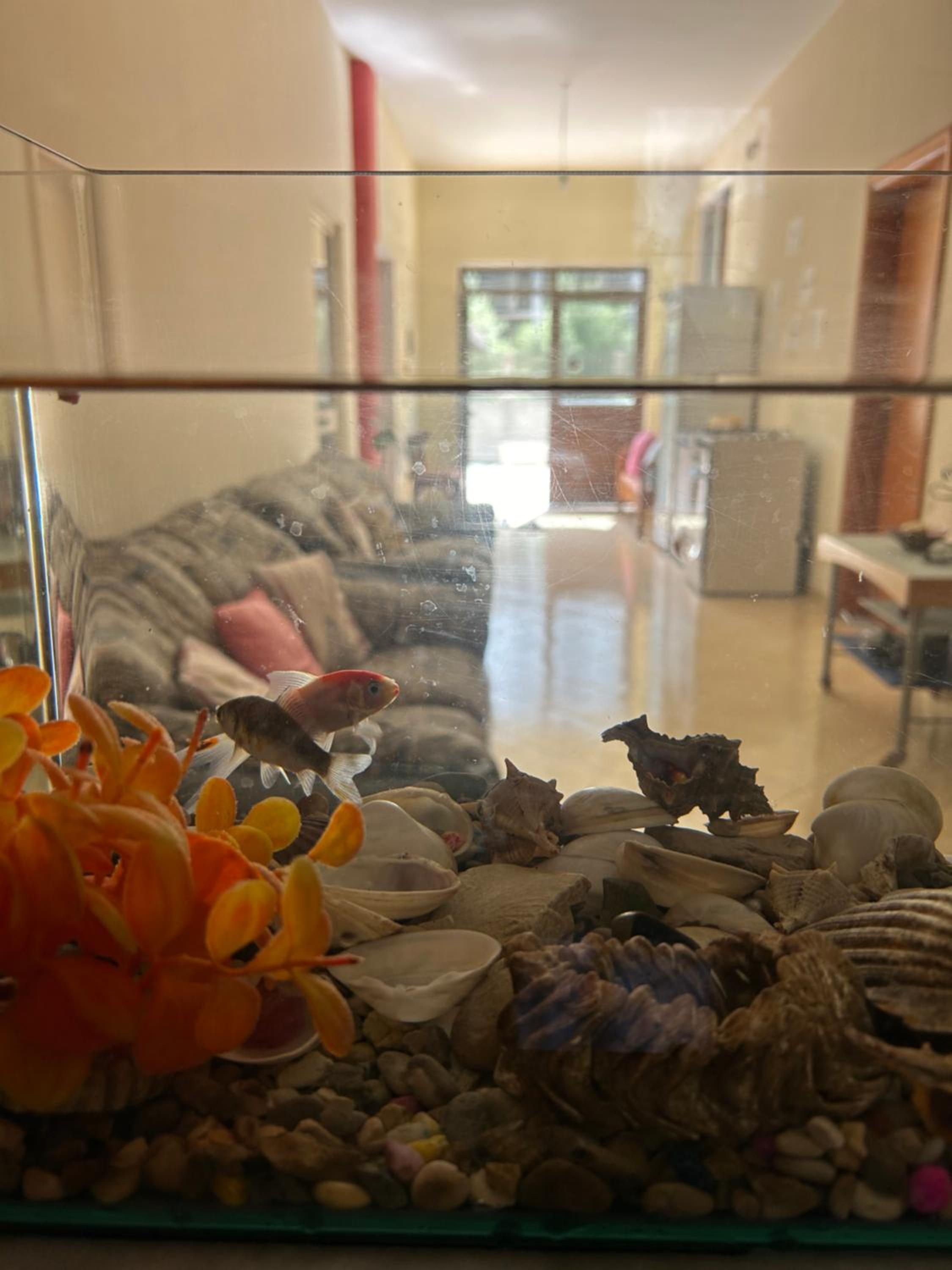 Villa Meka