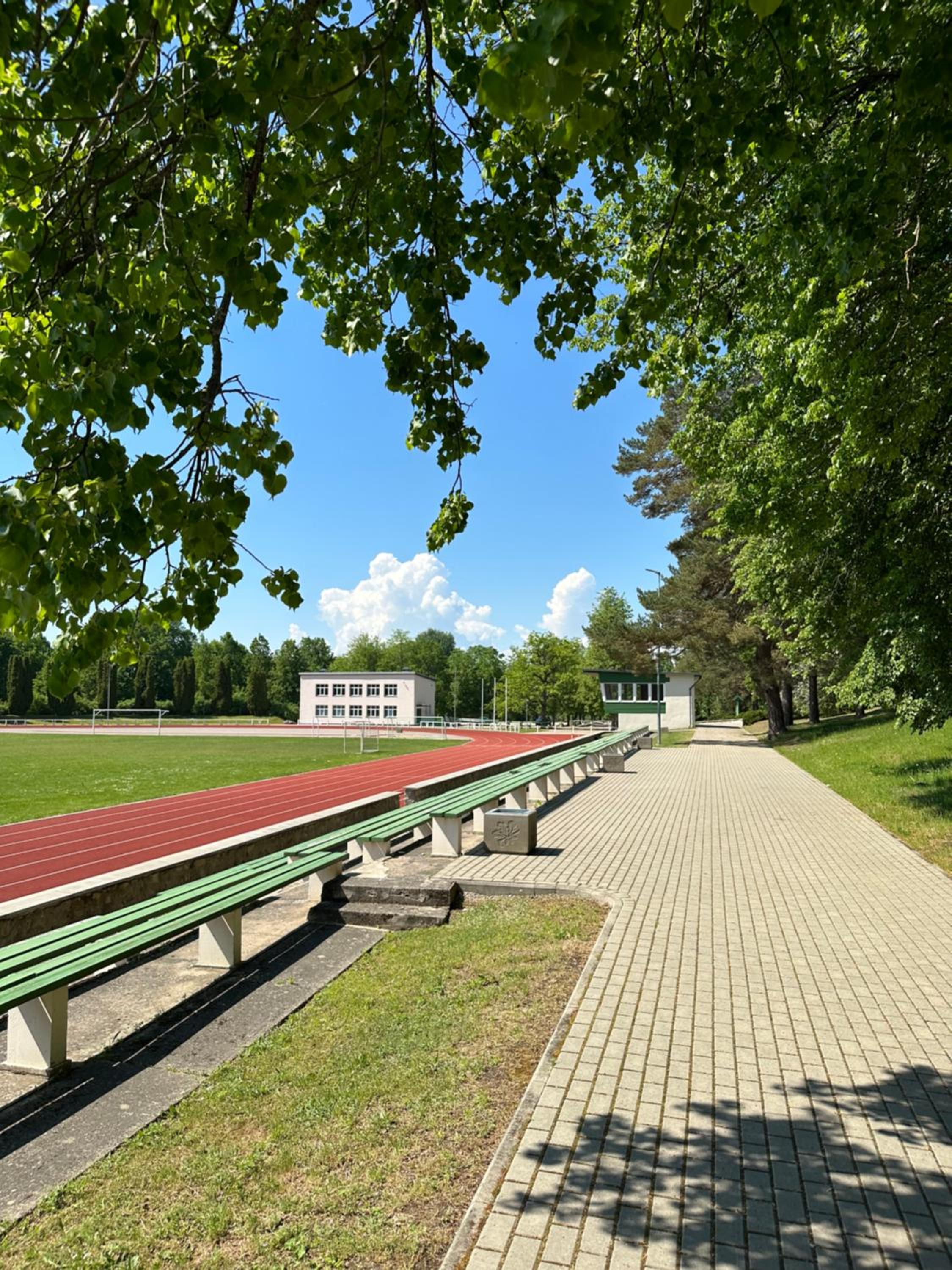 visitDINAMO