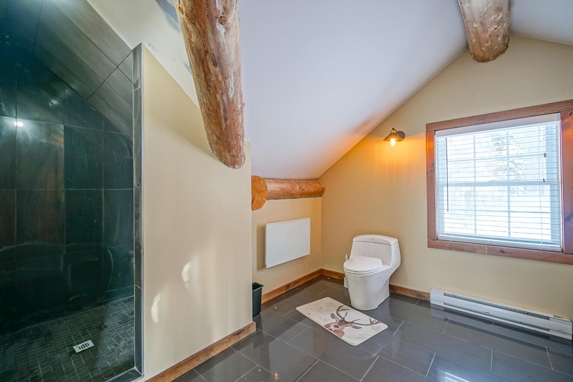 Chalet en bois rond des Perséides