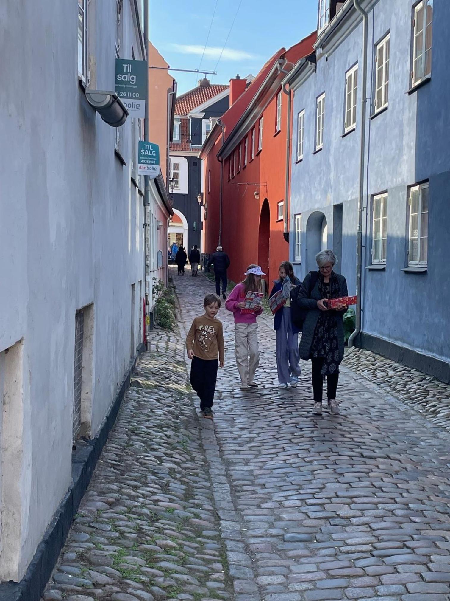 Cozy apartment in the center of Helsingør