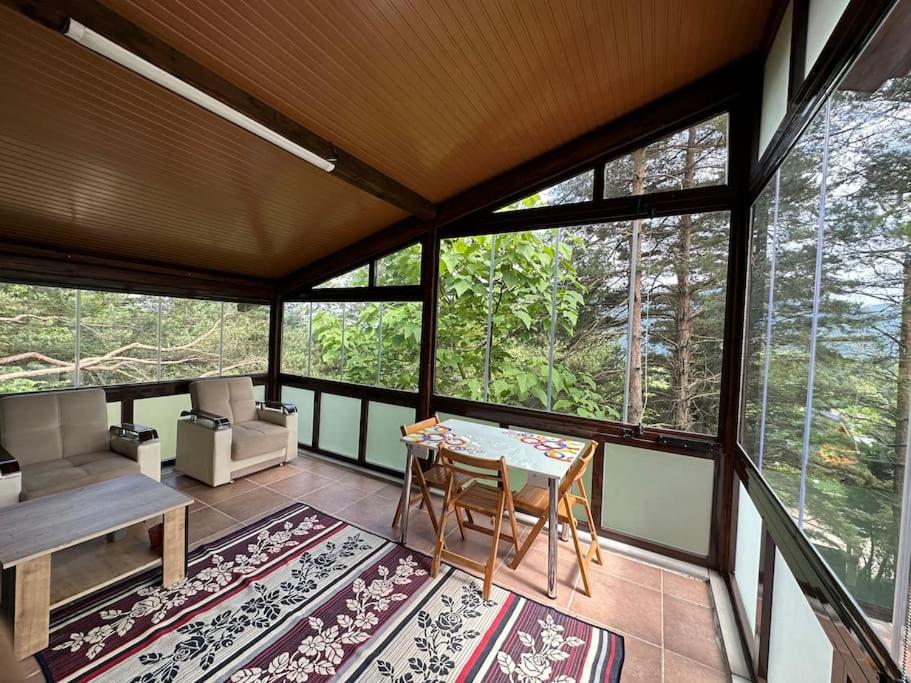 Sapanca Orman İçinde Özel Havuzlu Villa view 3