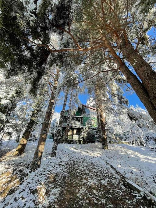 Sapanca Orman İçinde Özel Havuzlu Villa view 4