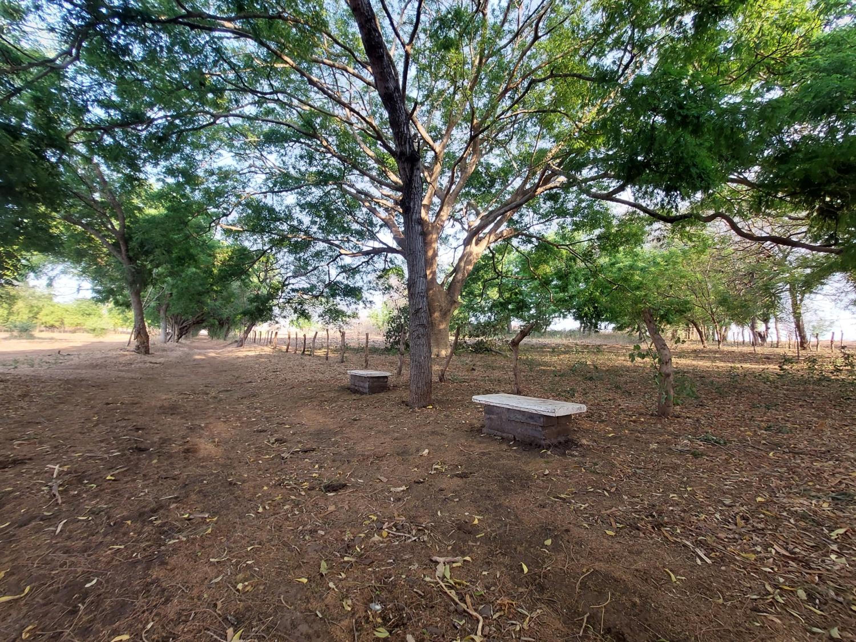 Photo 20