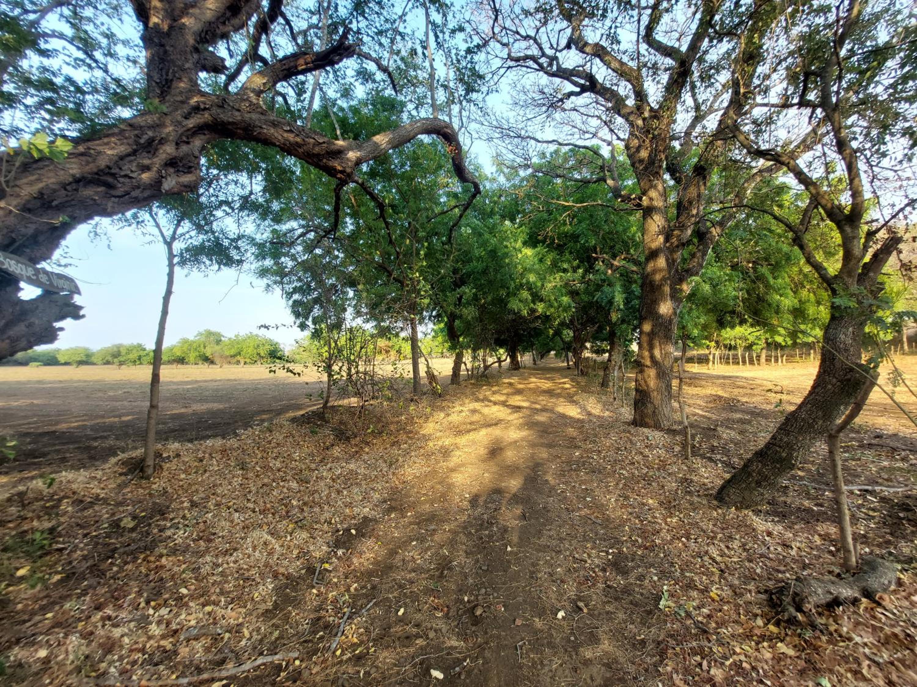 Photo 27