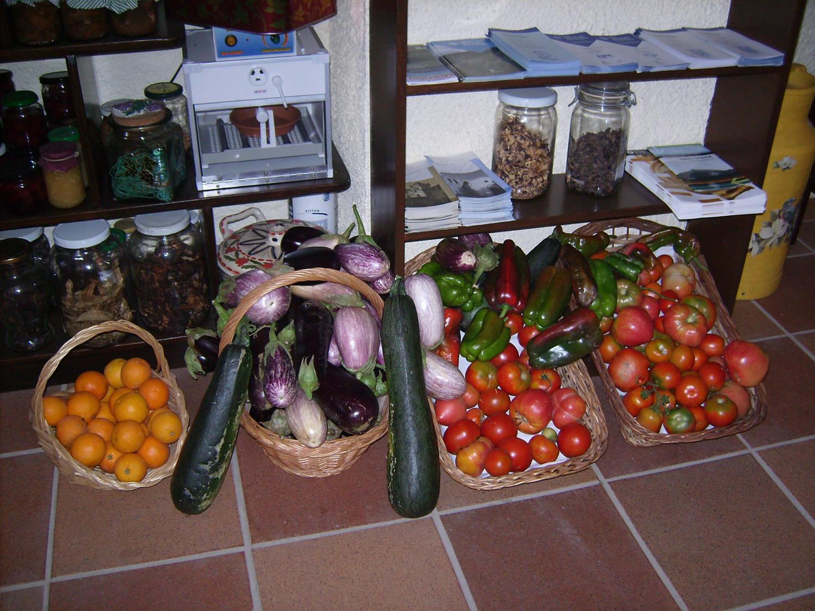 Hotel Rural Masía Can Felip