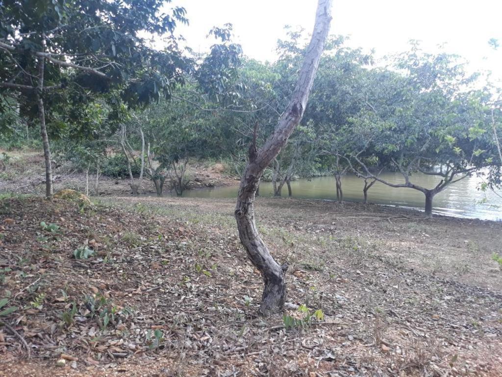 Chácara no Lago