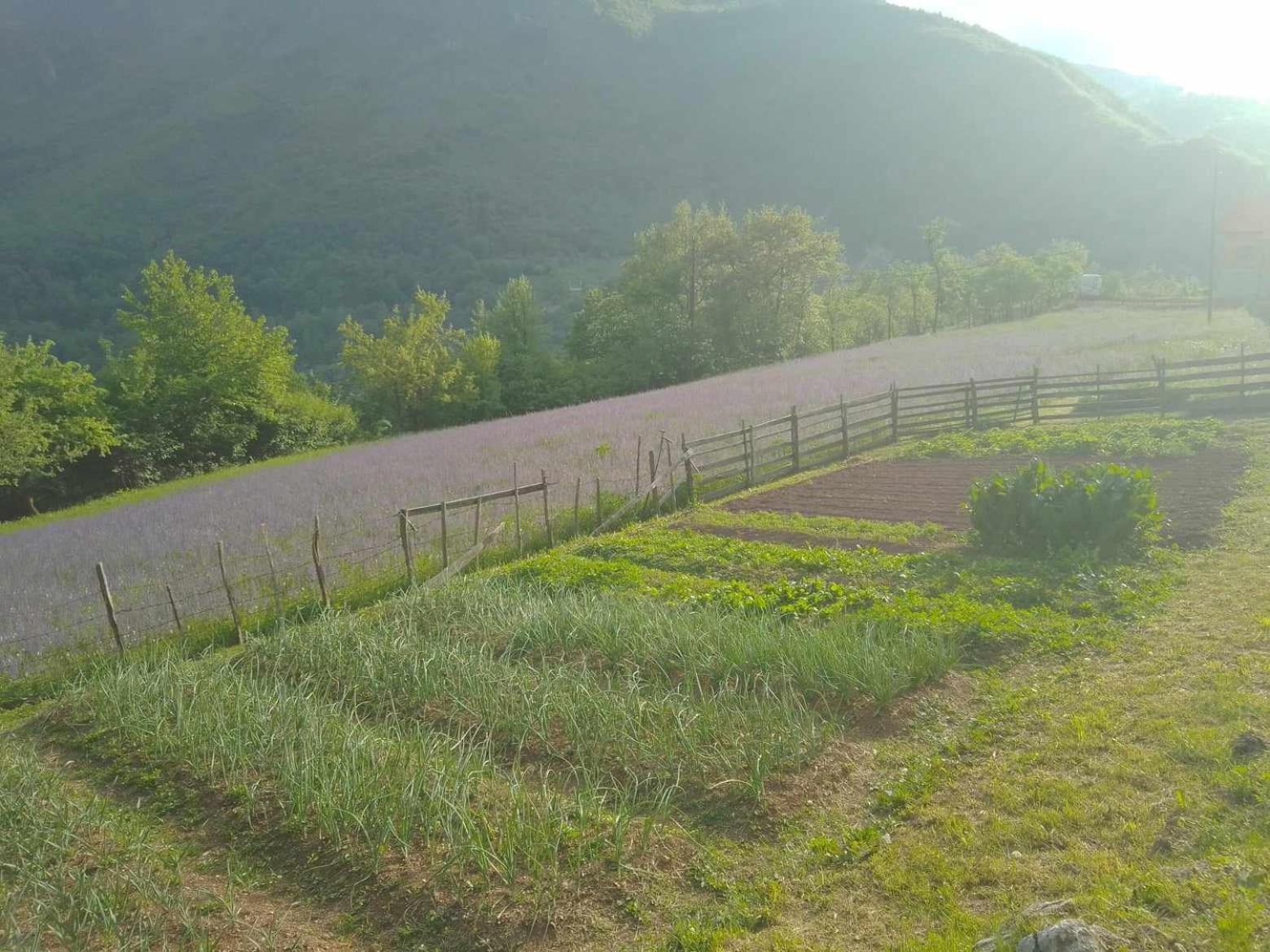 Apartman sa pogledom na Most i prirodu