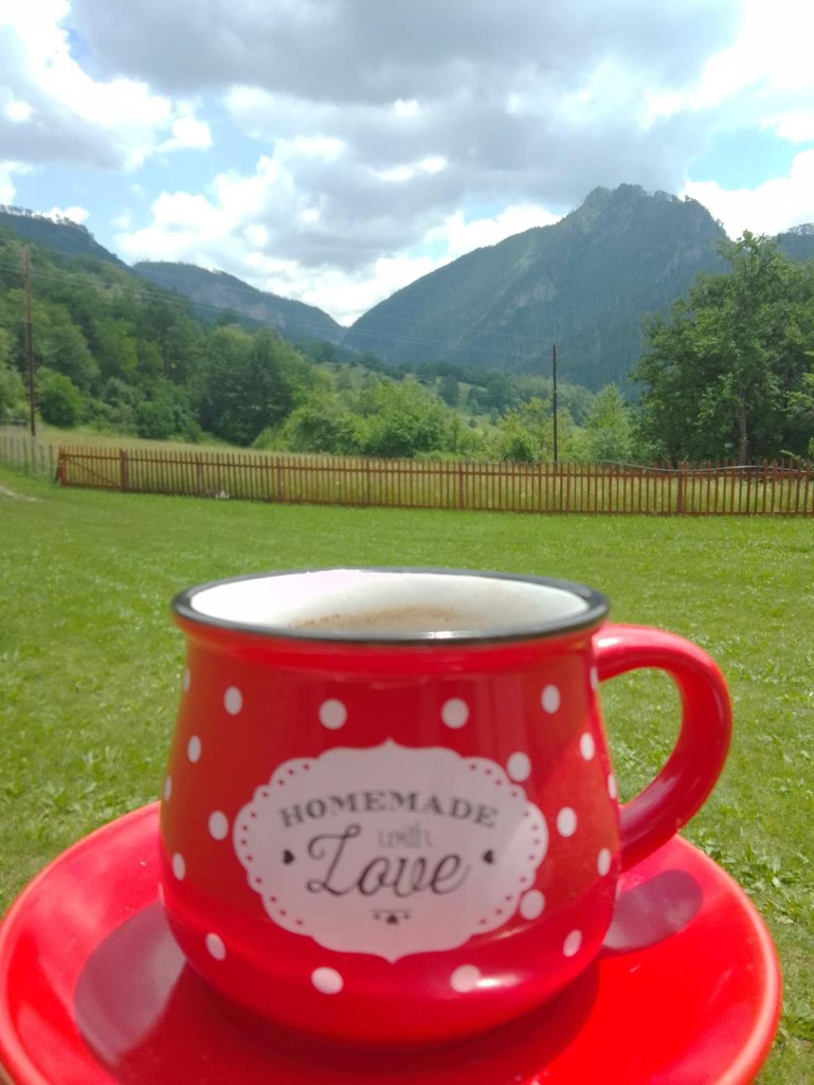 Apartman sa pogledom na Most i prirodu