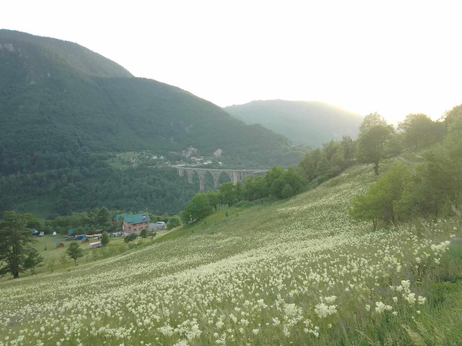 Apartman sa pogledom na Most i prirodu